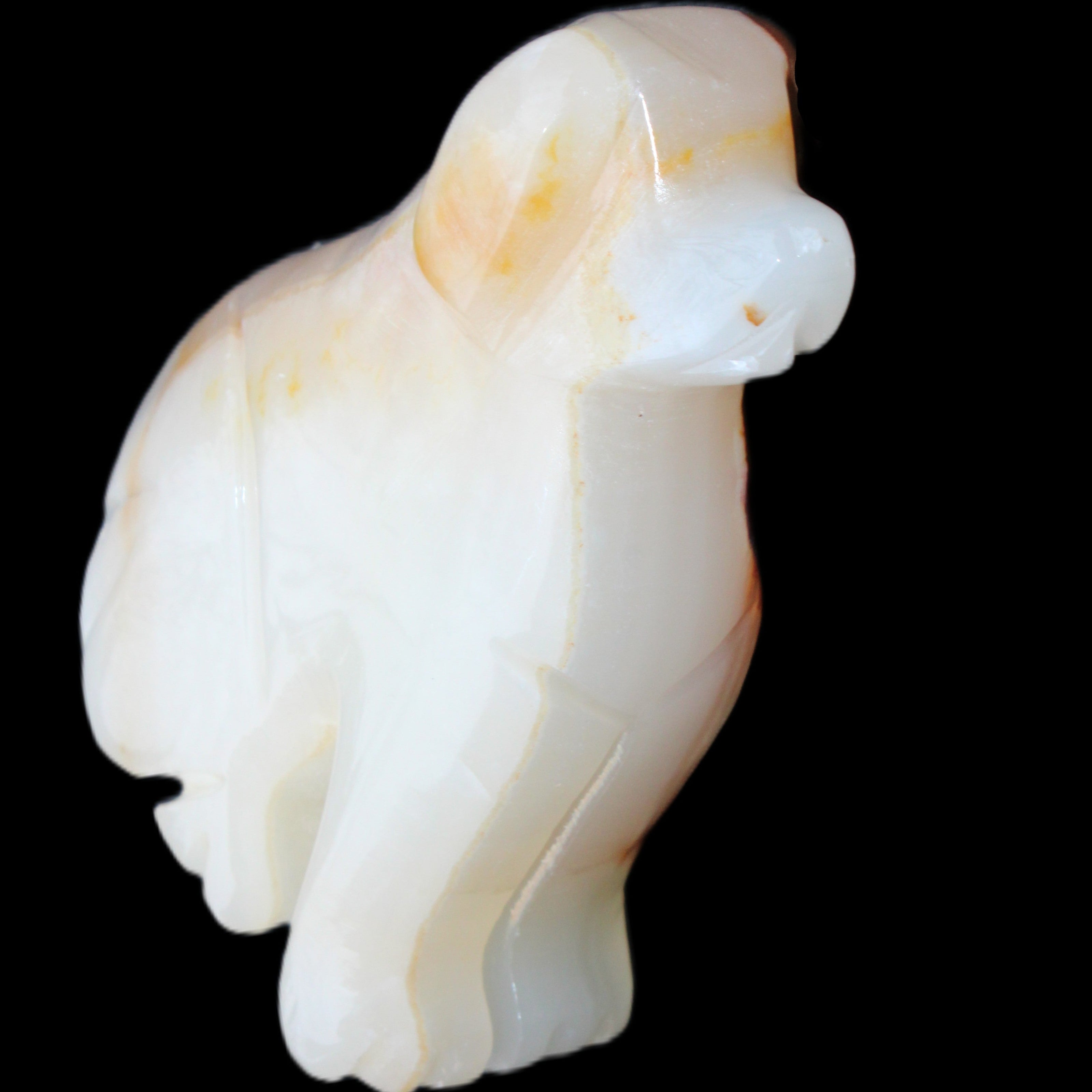 Afghan Jade hand-carved Dog 69*33*105mm 395g in sunlight - Rocks and Things Store