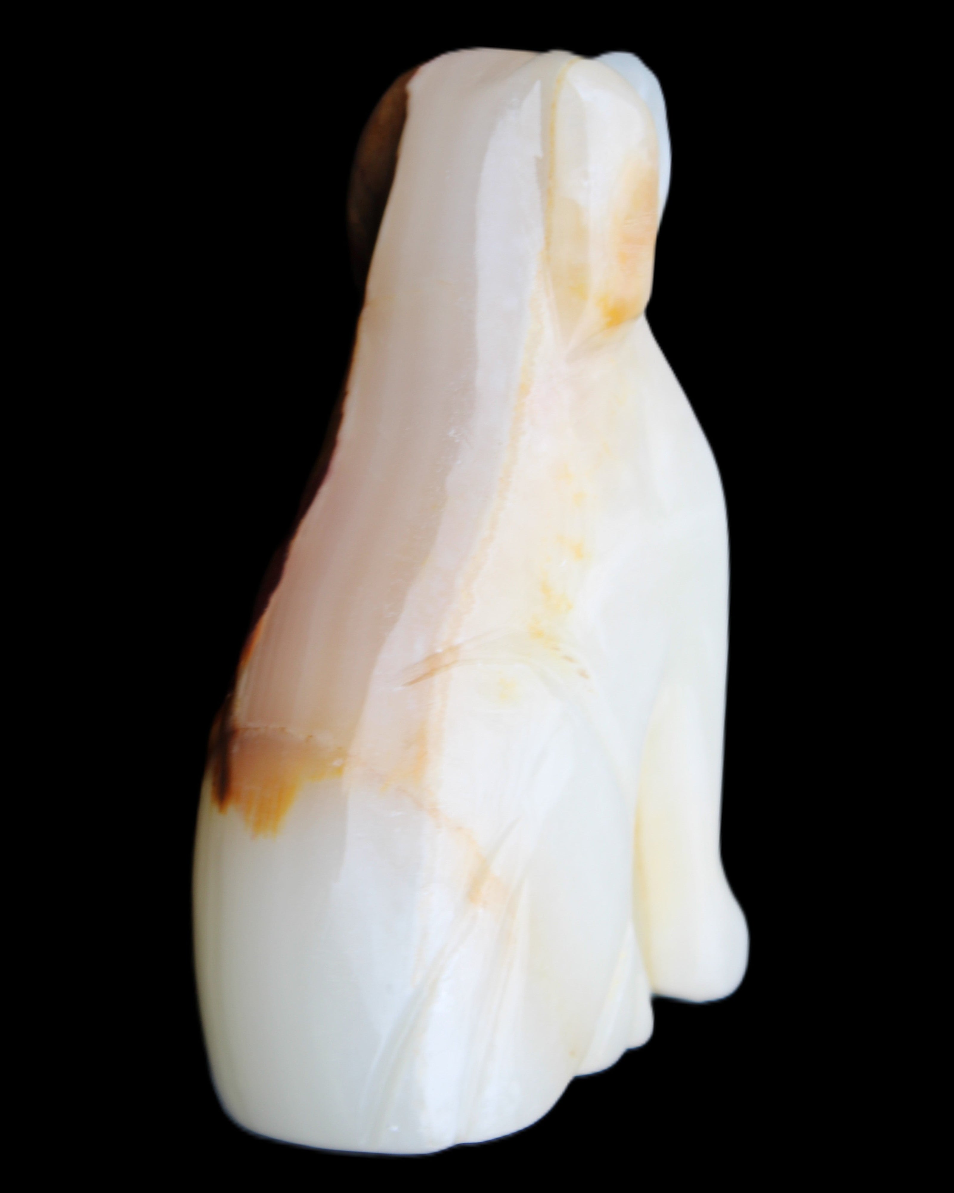 Afghan Jade hand-carved Dog 69*33*105mm 395g in sunlight - Rocks and Things Store