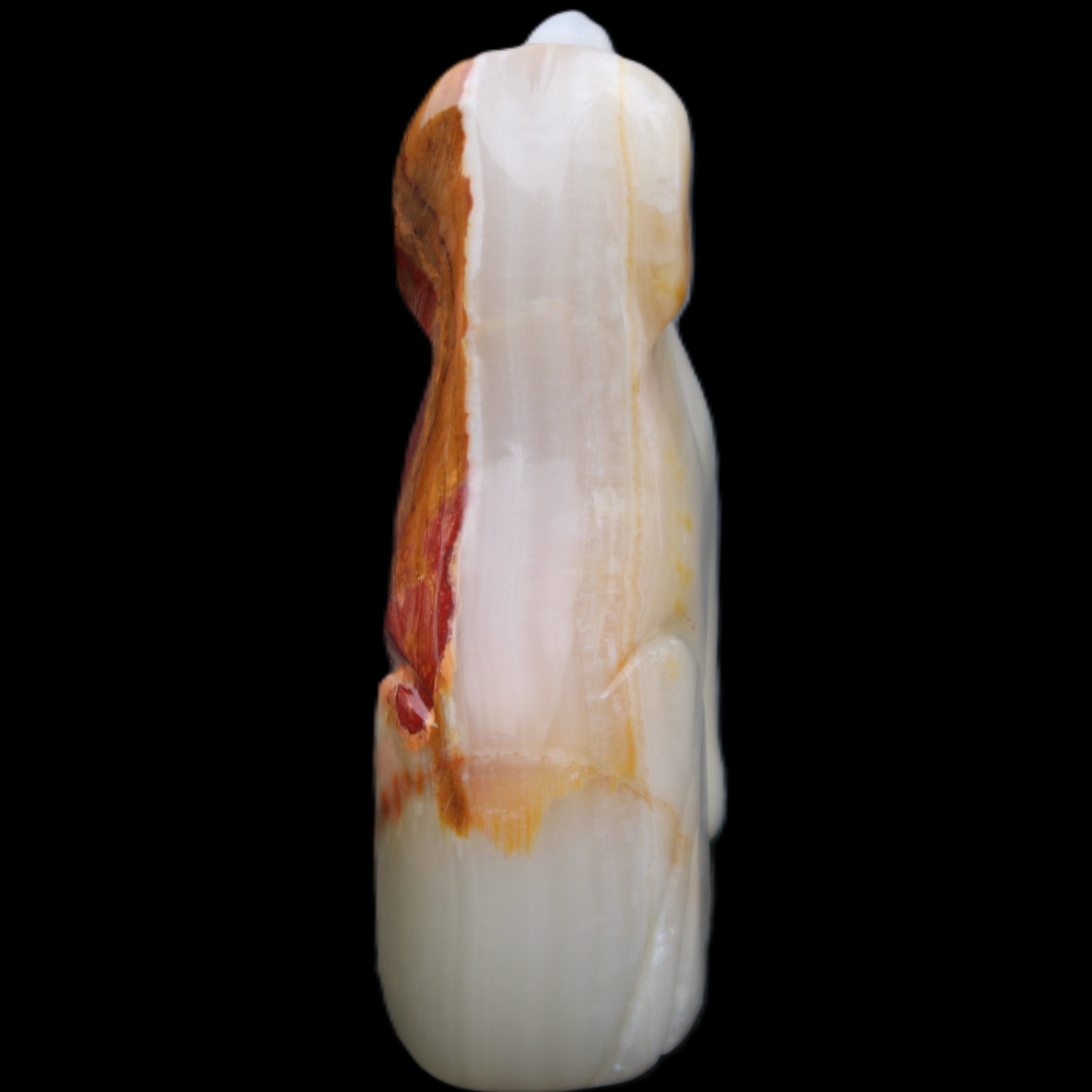 Afghan Jade hand-carved Dog 69*33*105mm 395g in sunlight - Rocks and Things Store