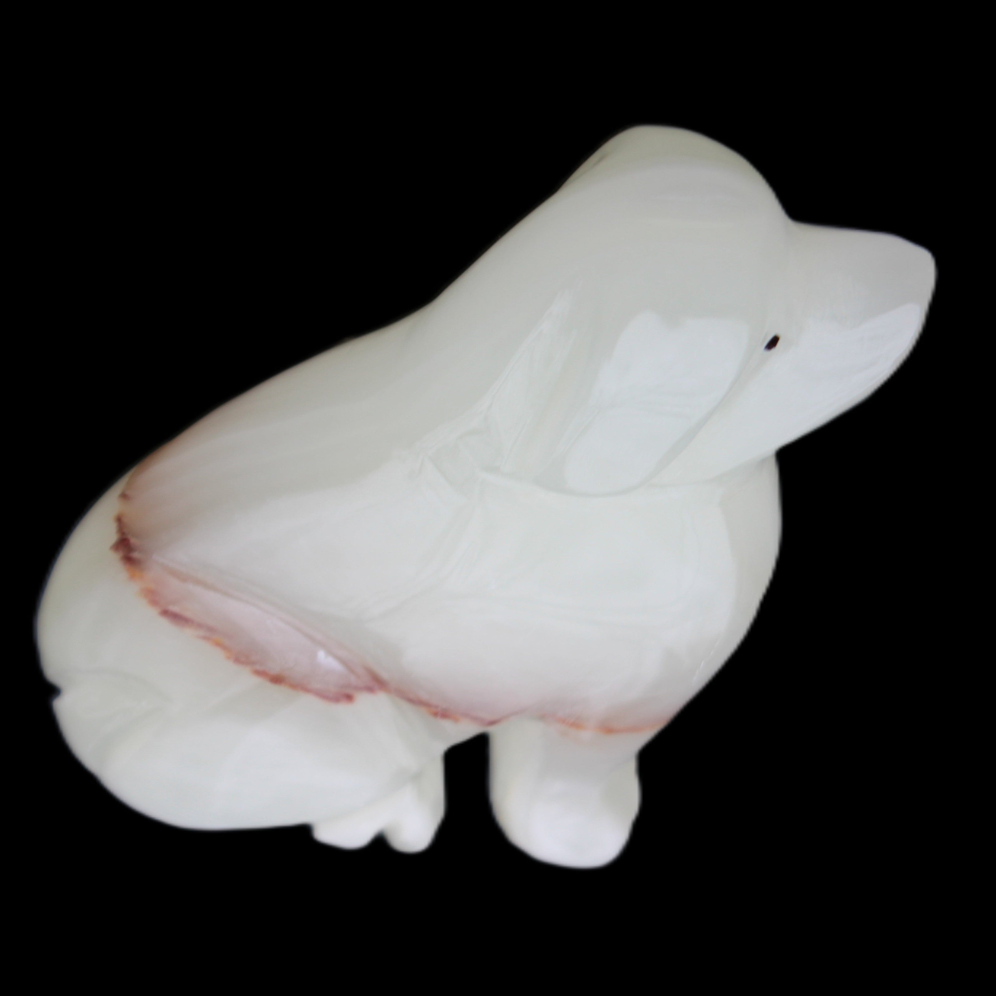 Afghan Jade hand-carved Dog 69*33*105mm 395g in sunlight - Rocks and Things Store