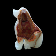 Afghan Jade hand-carved Dog 73*35*106mm 431g in sunlight - Rocks and Things Store