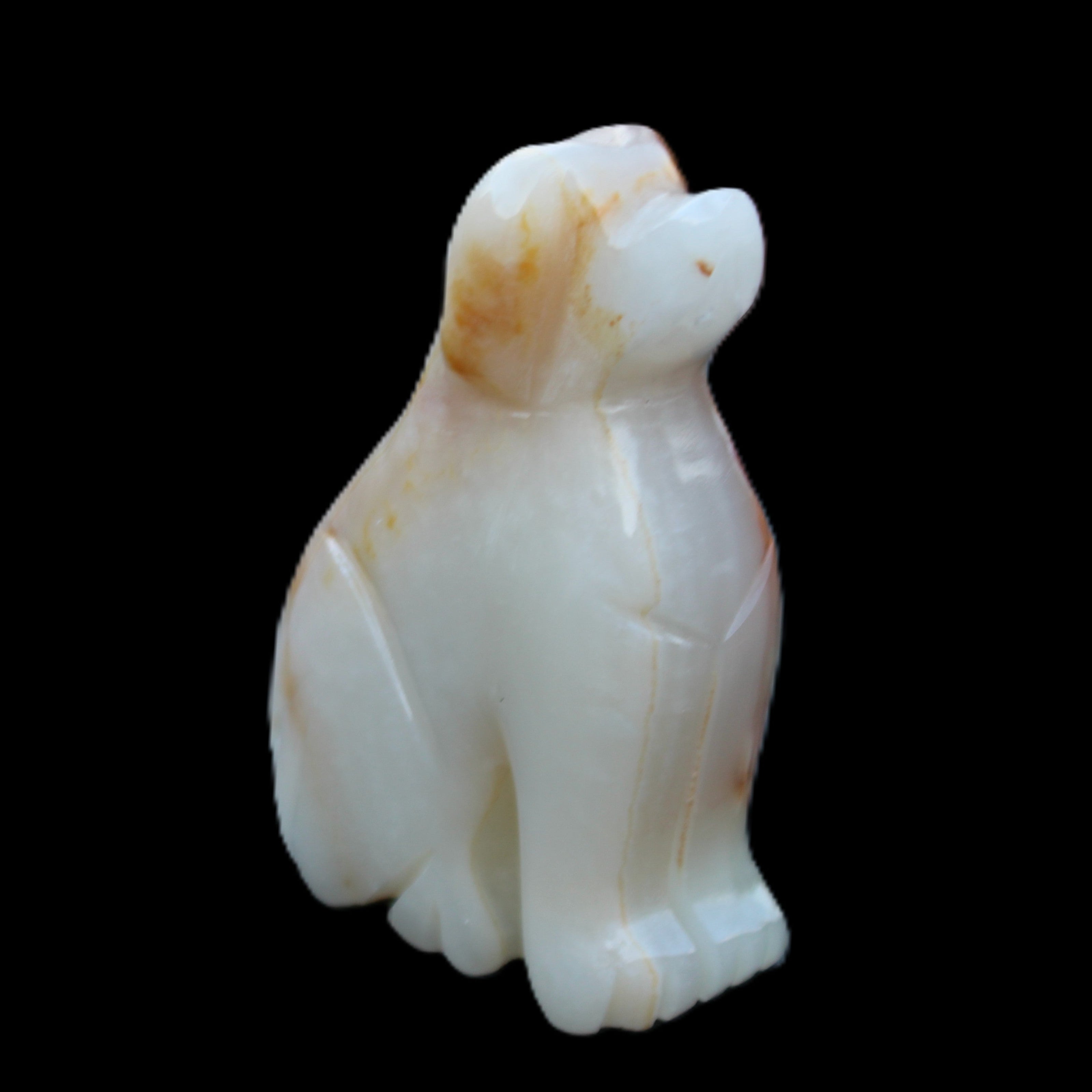 Afghan Jade hand-carved Dog 73*35*106mm 431g in sunlight - Rocks and Things Store