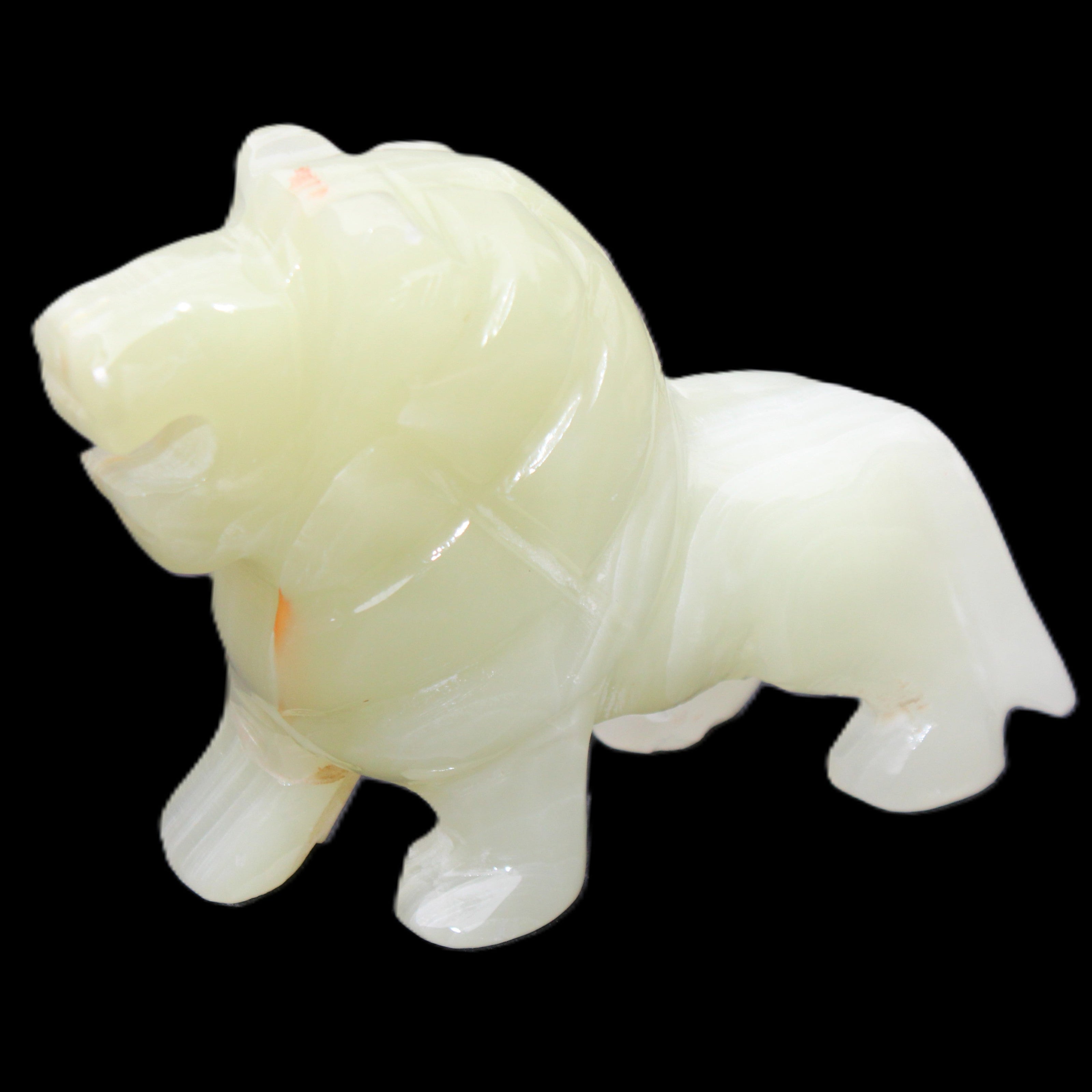 Afghan Jade hand-carved Lion 100*31*78mm 258g in sunlight - Rocks and Things Store