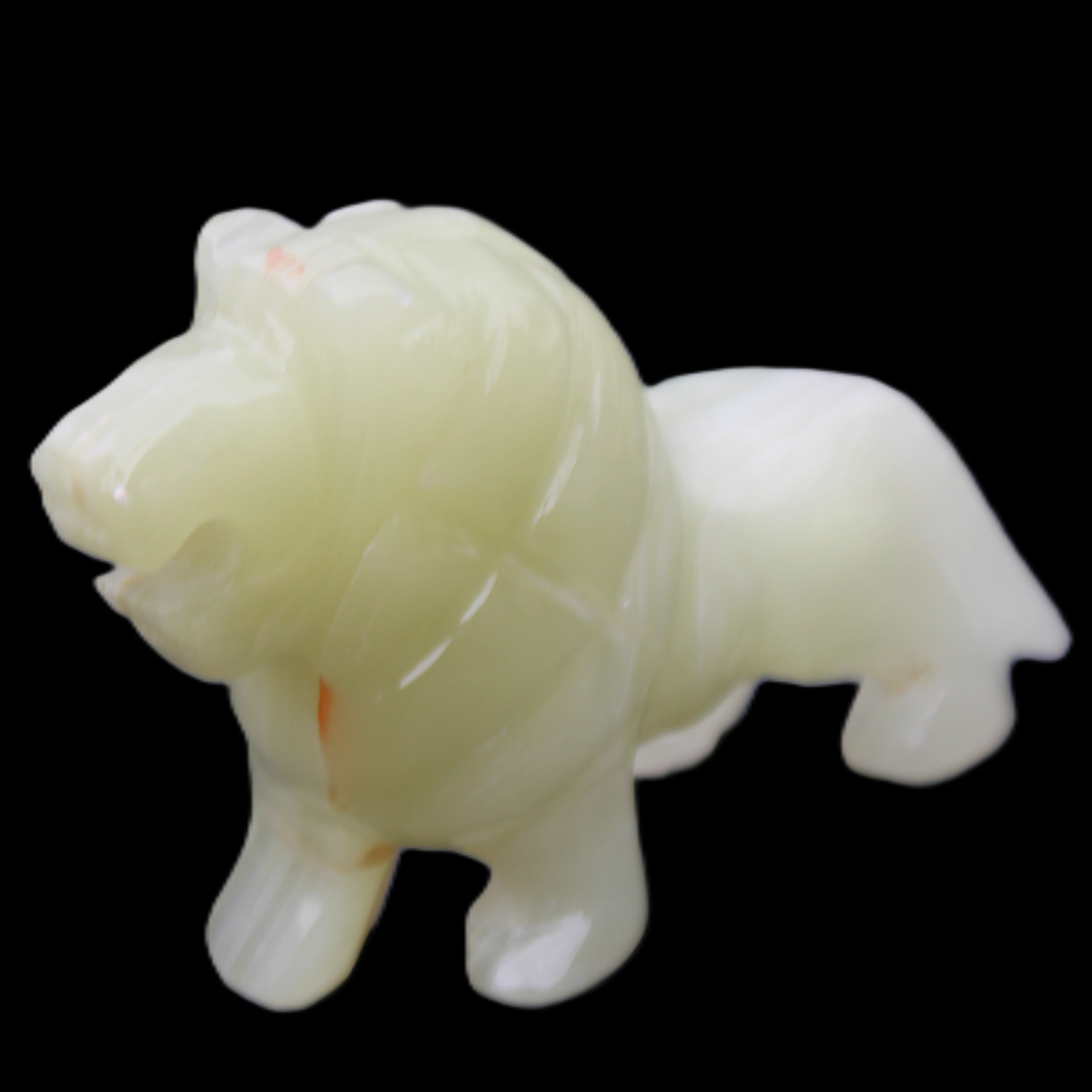 Afghan Jade hand-carved Lion 100*31*78mm 258g in sunlight - Rocks and Things Store