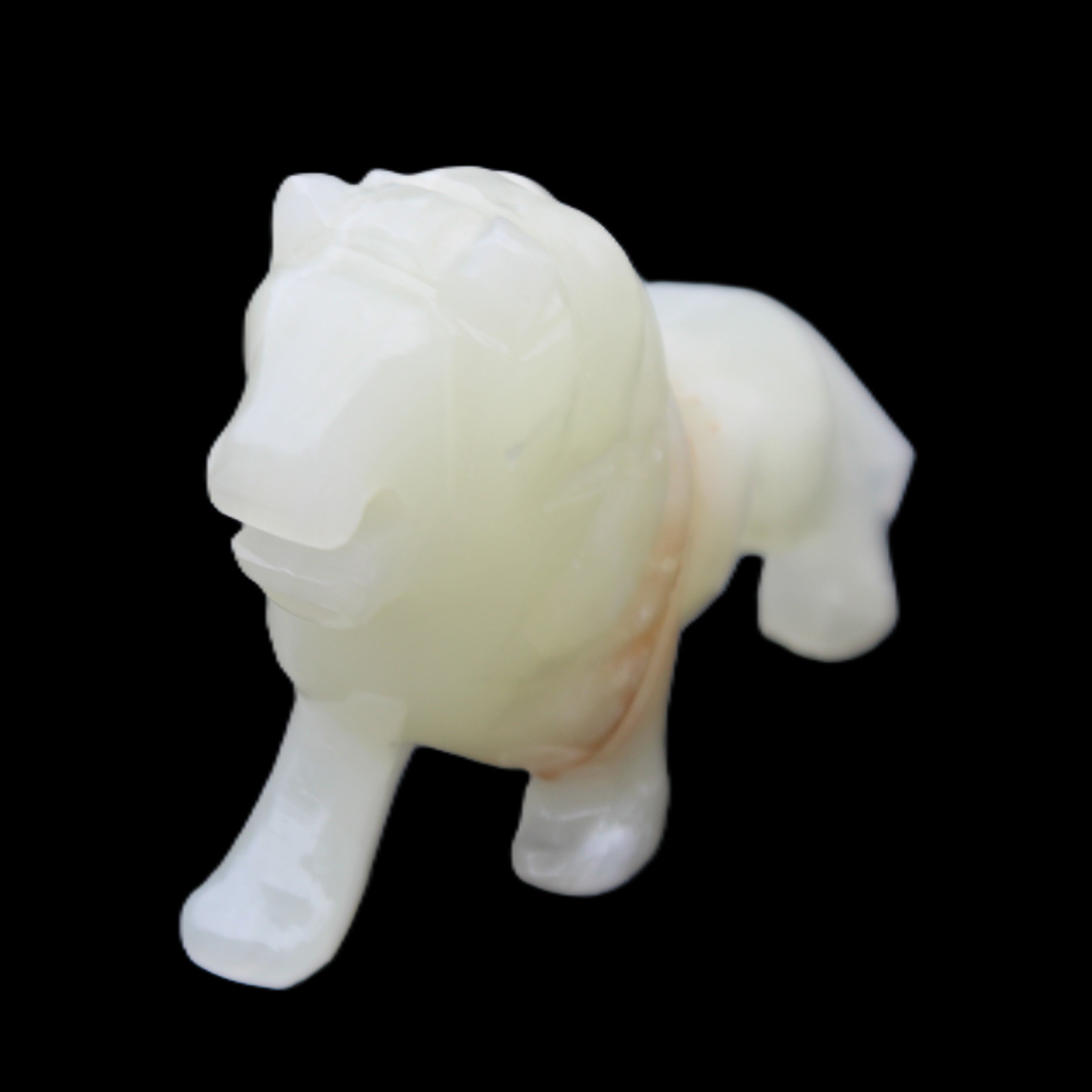Afghan Jade hand-carved Lion 115*31*77mm 316g in sunlight - Rocks and Things Store