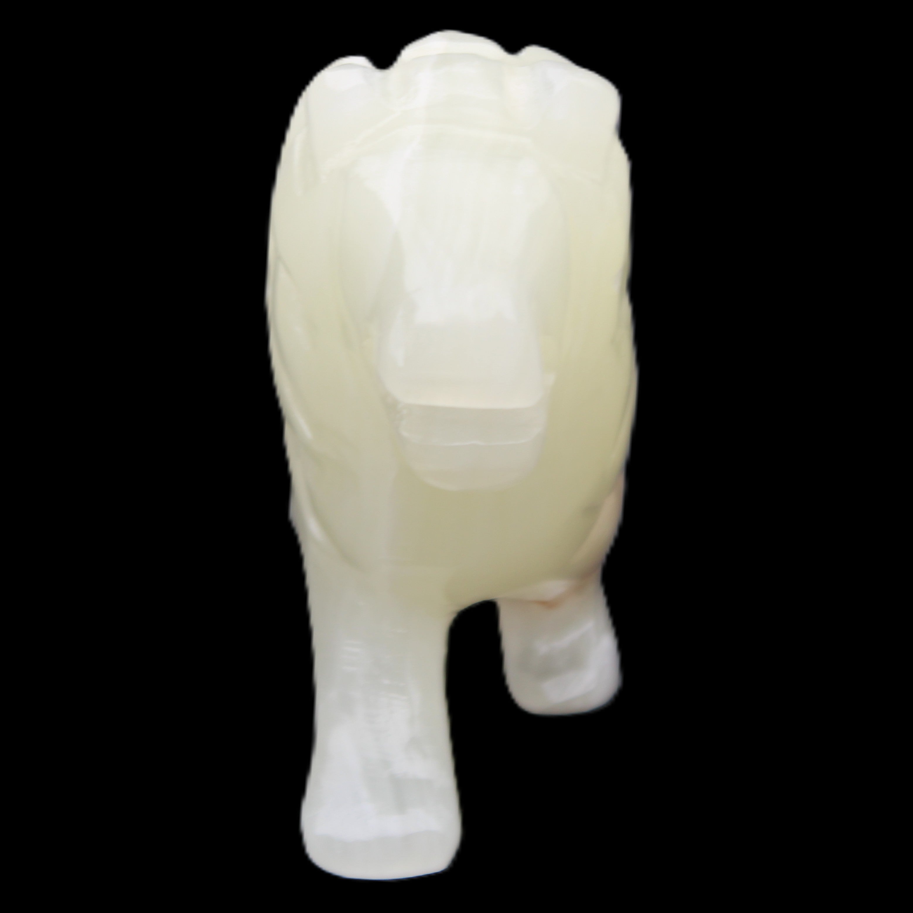 Afghan Jade hand-carved Lion 115*31*77mm 316g in sunlight - Rocks and Things Store