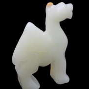 Afghan Jade hand-carved Camel 70*24*102mm 238g in sunlight - Rocks and Things Store