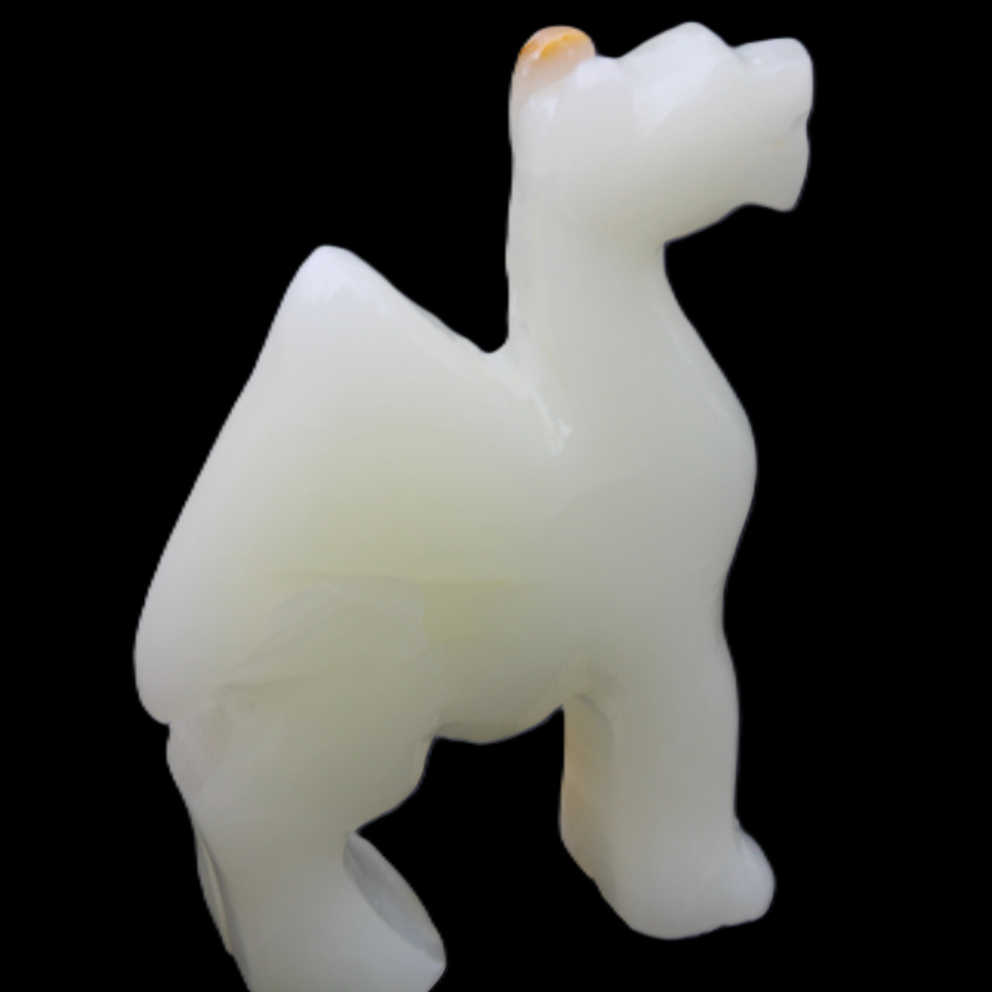 Afghan Jade hand-carved Camel 70*24*102mm 238g in sunlight - Rocks and Things Store