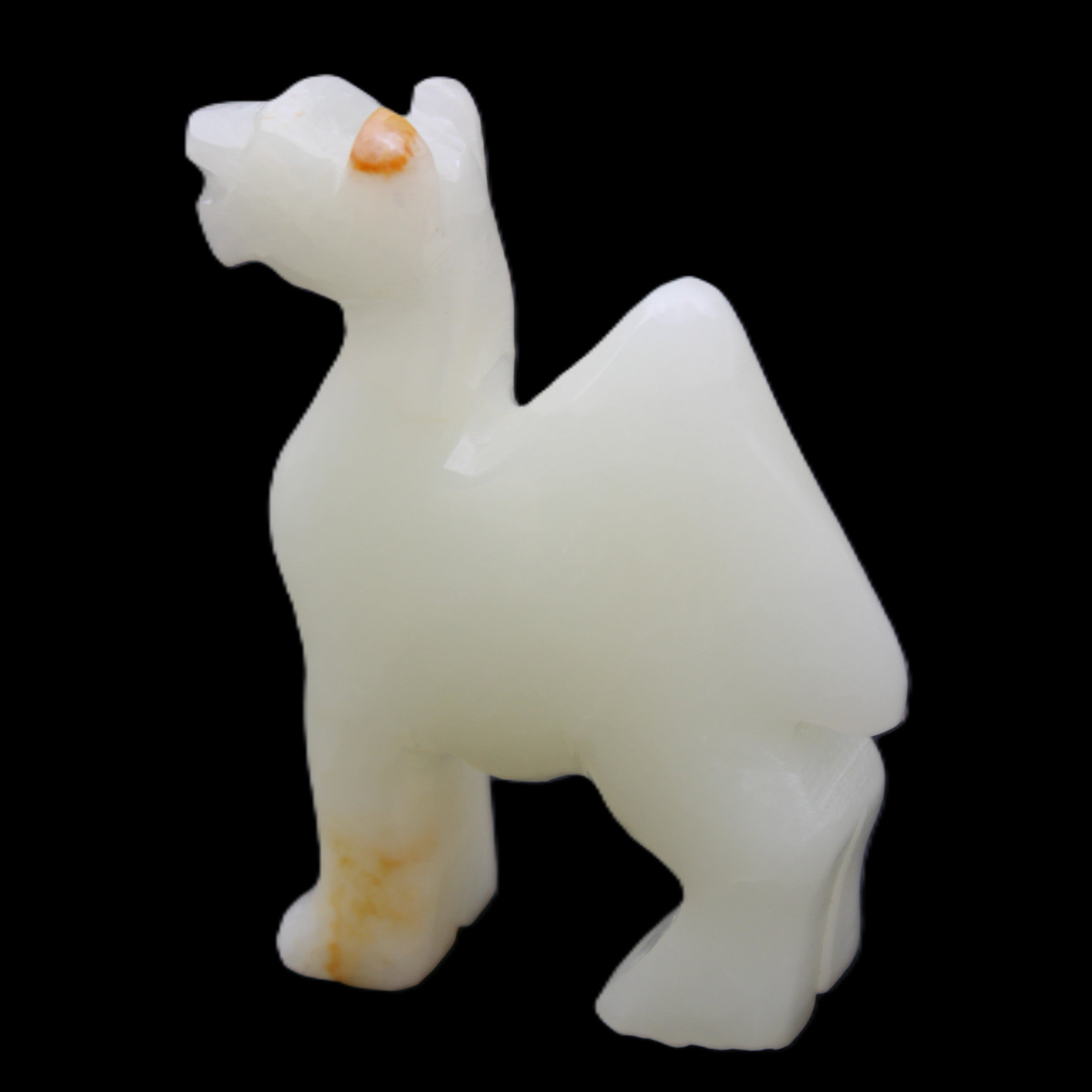 Afghan Jade hand-carved Camel 70*24*102mm 238g in sunlight - Rocks and Things Store
