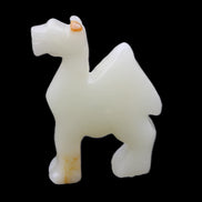 Afghan Jade hand-carved Camel 70*24*102mm 238g in sunlight - Rocks and Things Store