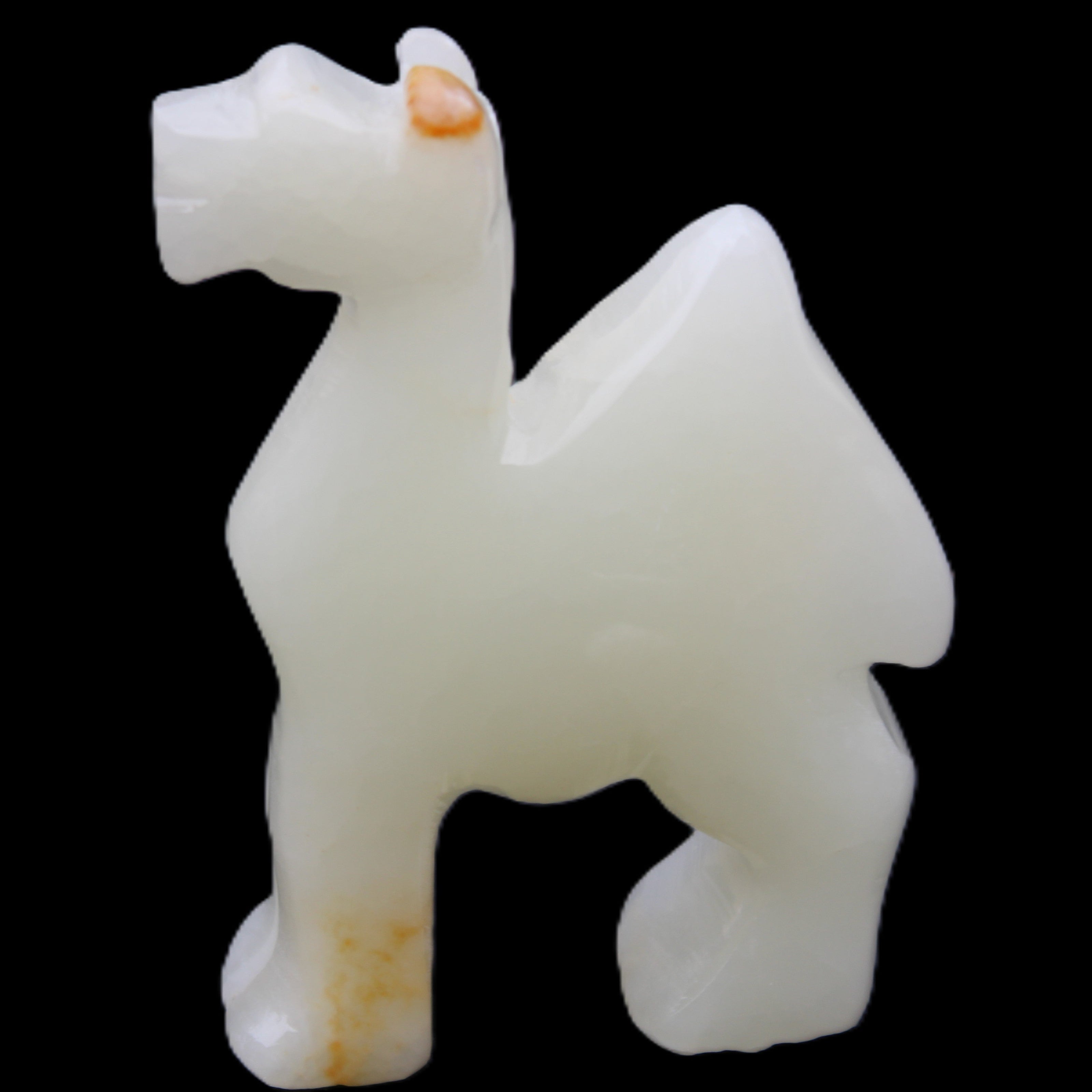 Afghan Jade hand-carved Camel 70*24*102mm 238g in sunlight - Rocks and Things Store