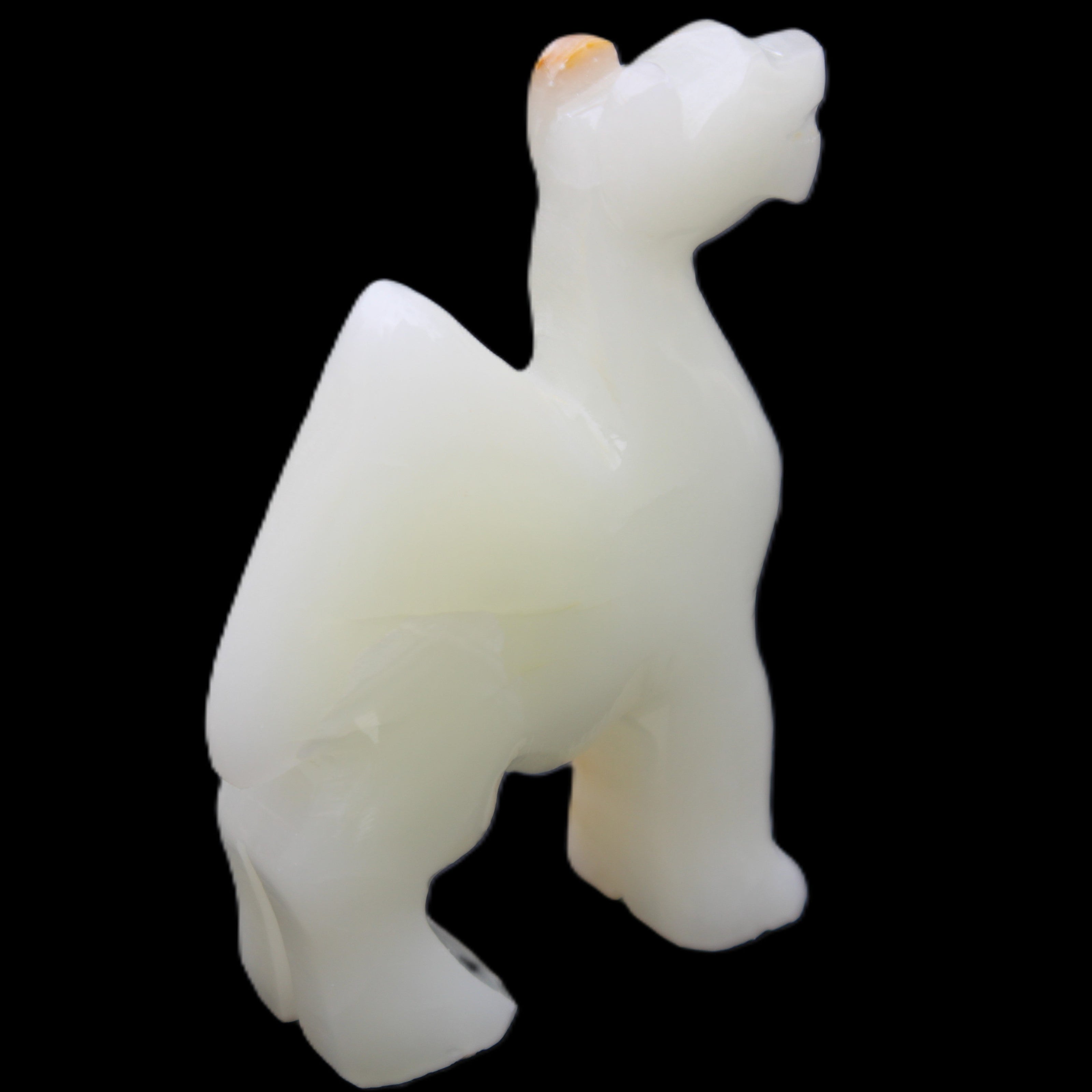 Afghan Jade hand-carved Camel 70*24*102mm 238g in sunlight - Rocks and Things Store