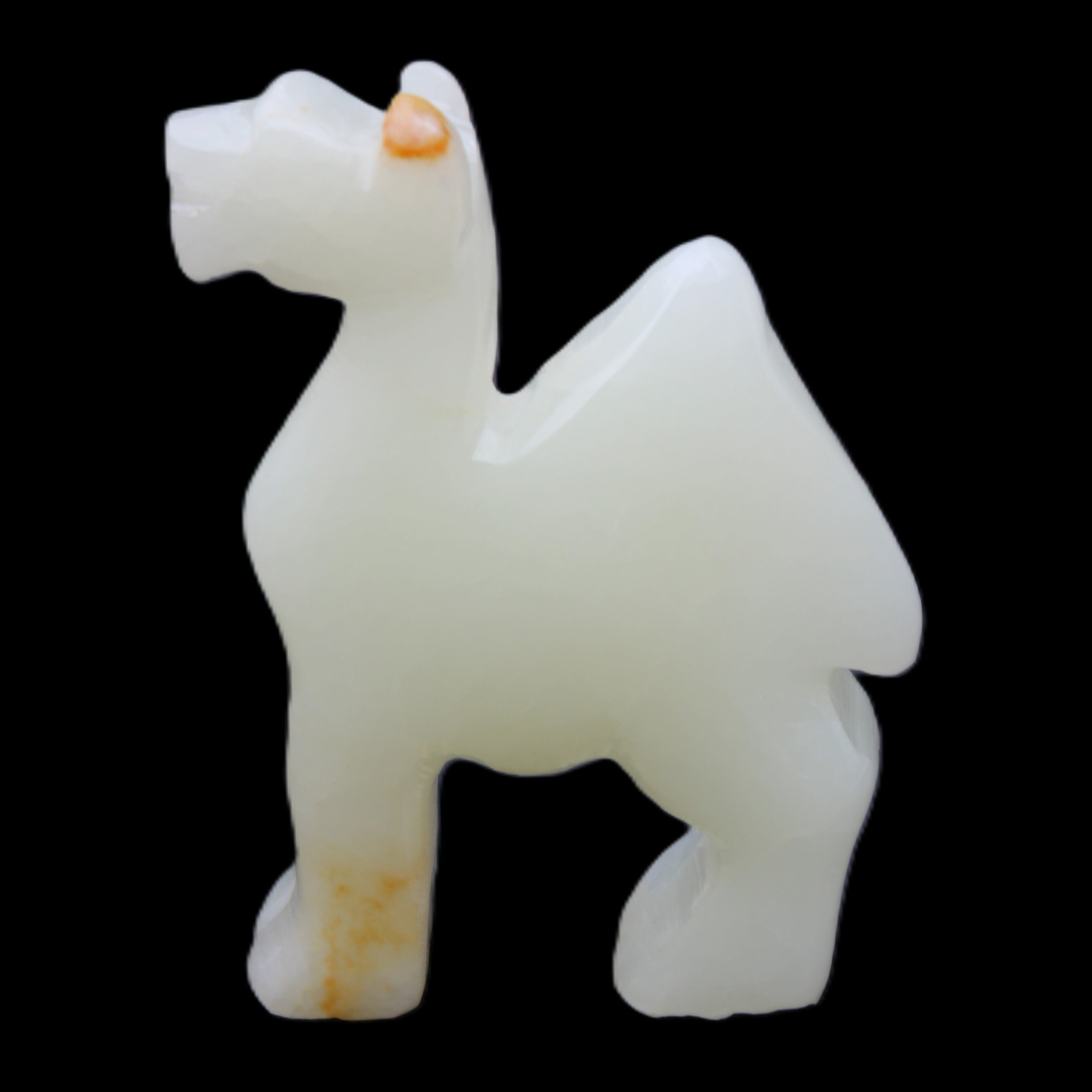 Afghan Jade hand-carved Camel 70*24*102mm 238g in sunlight - Rocks and Things Store