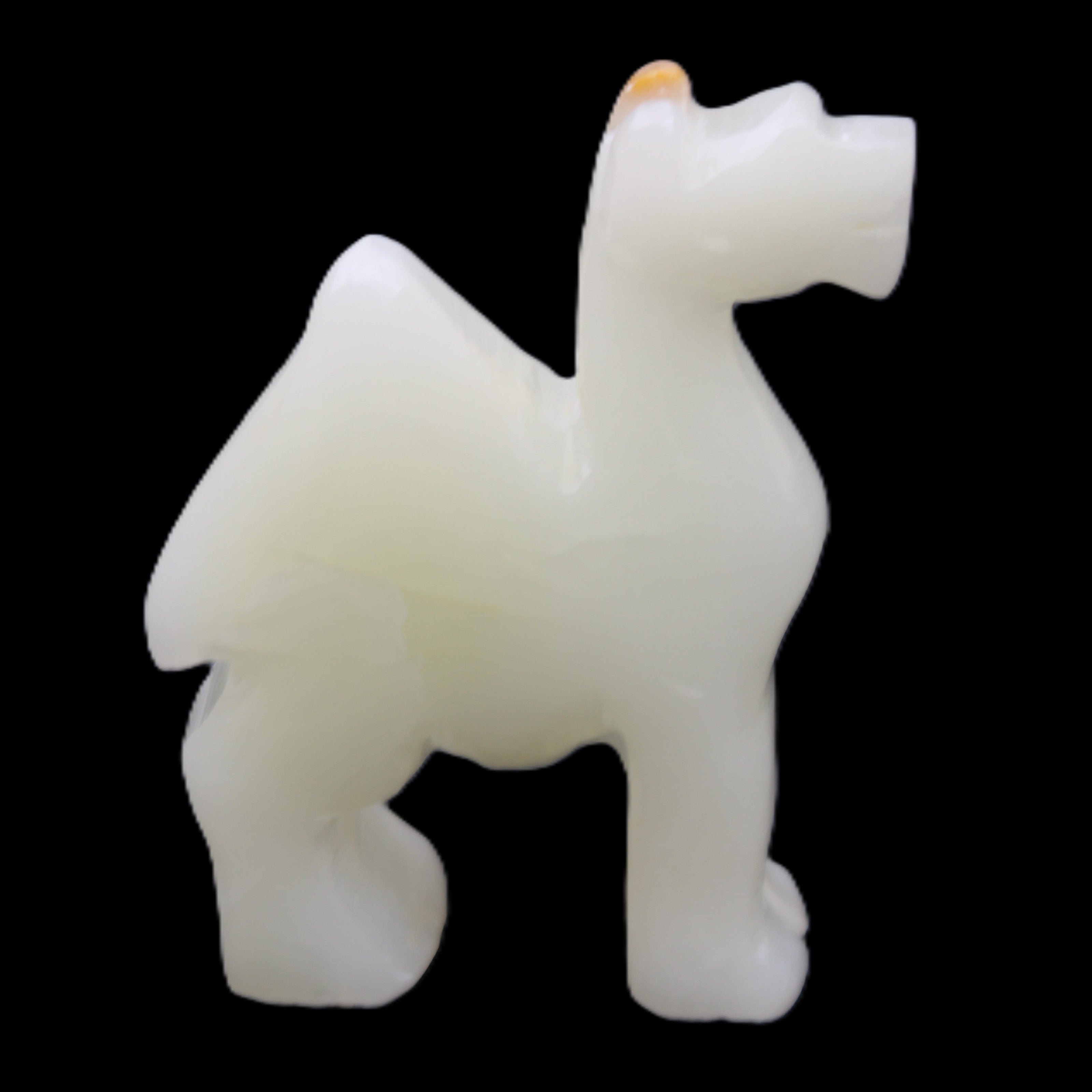 Afghan Jade hand-carved Camel 70*24*102mm 238g in sunlight - Rocks and Things Store