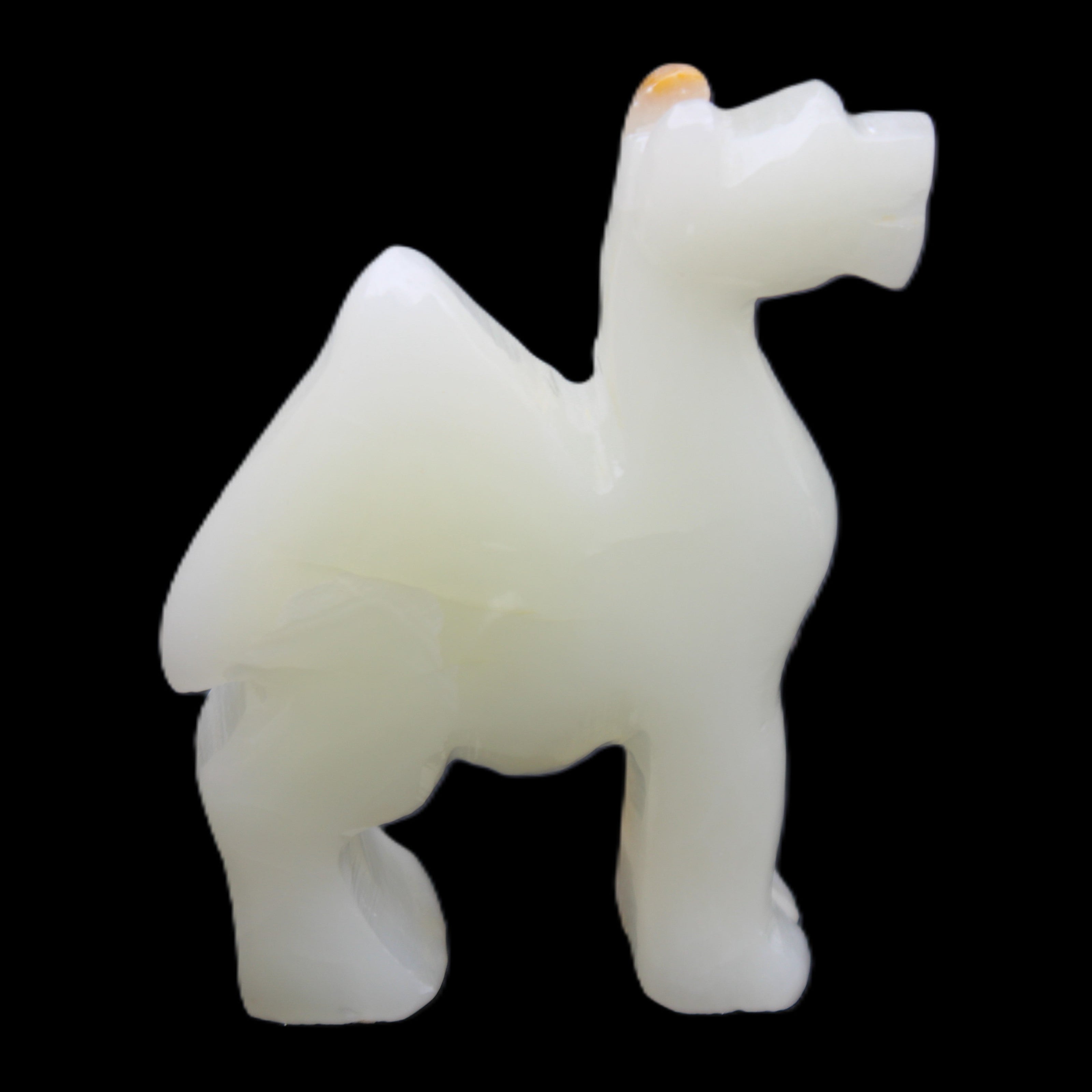 Afghan Jade hand-carved Camel 70*24*102mm 238g in sunlight - Rocks and Things Store