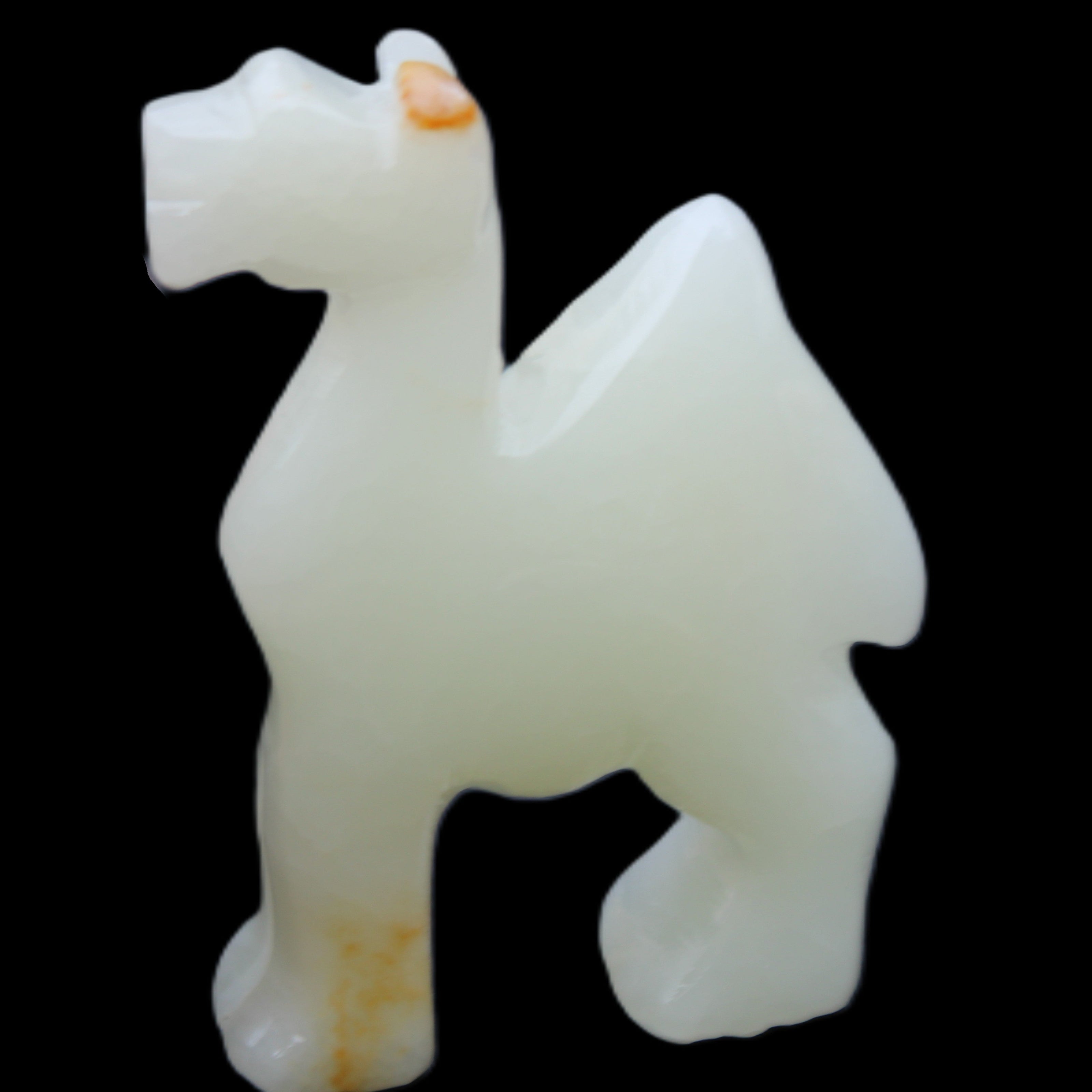 Afghan Jade hand-carved Camel 70*24*102mm 238g in sunlight - Rocks and Things Store