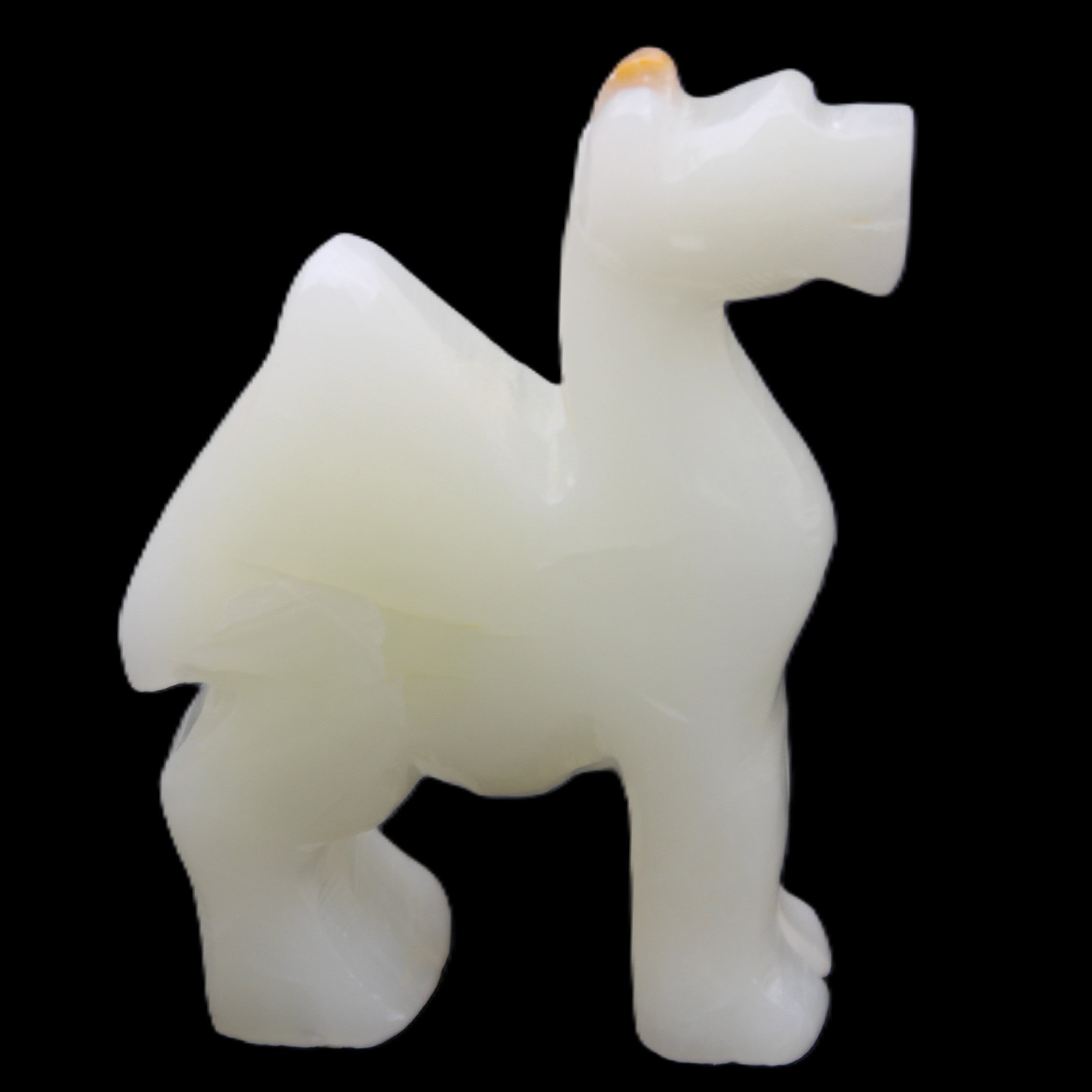 Afghan Jade hand-carved Camel 70*24*102mm 238g in sunlight - Rocks and Things Store