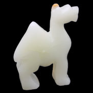 Afghan Jade hand-carved Camel 70*24*102mm 238g in sunlight - Rocks and Things Store