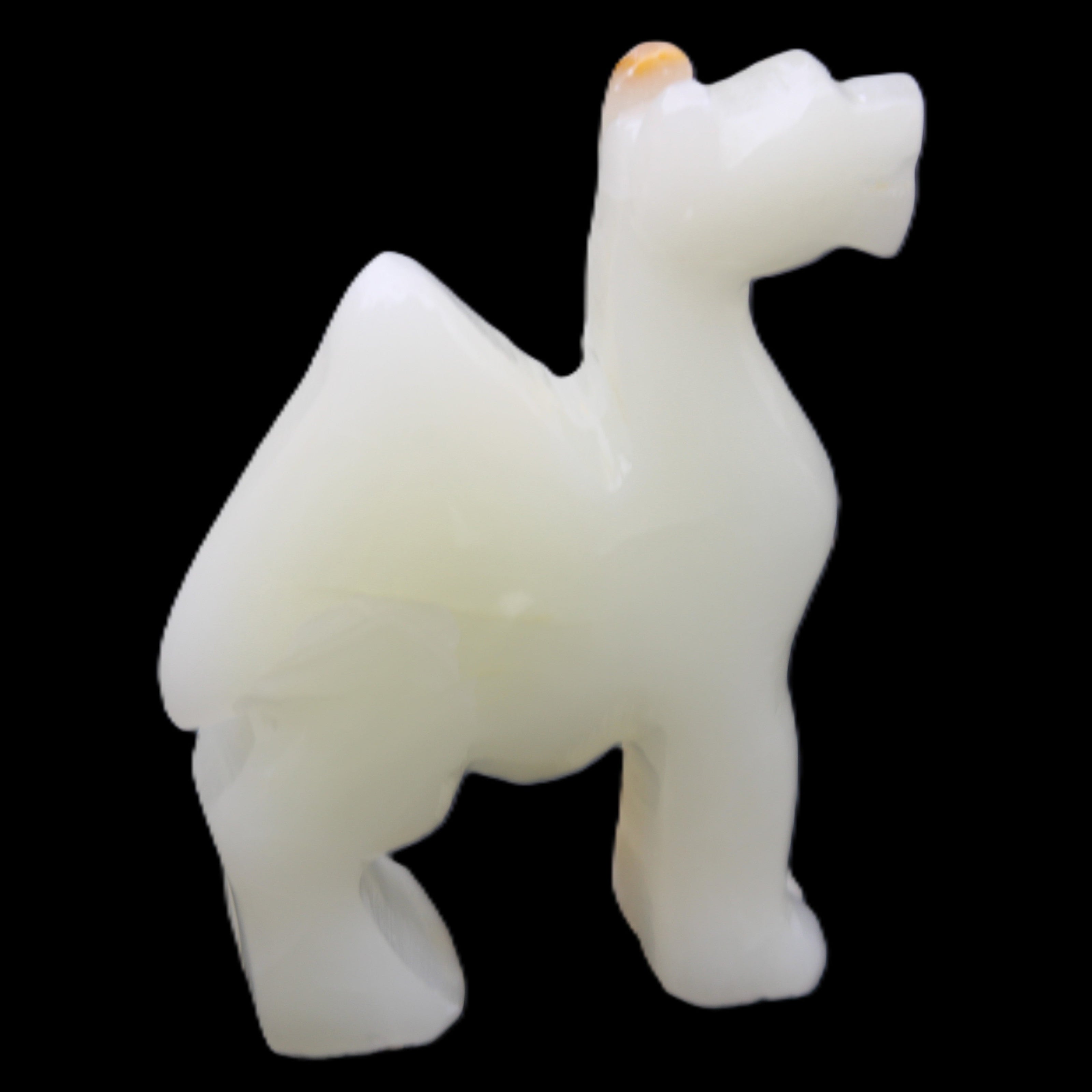 Afghan Jade hand-carved Camel 70*24*102mm 238g in sunlight - Rocks and Things Store
