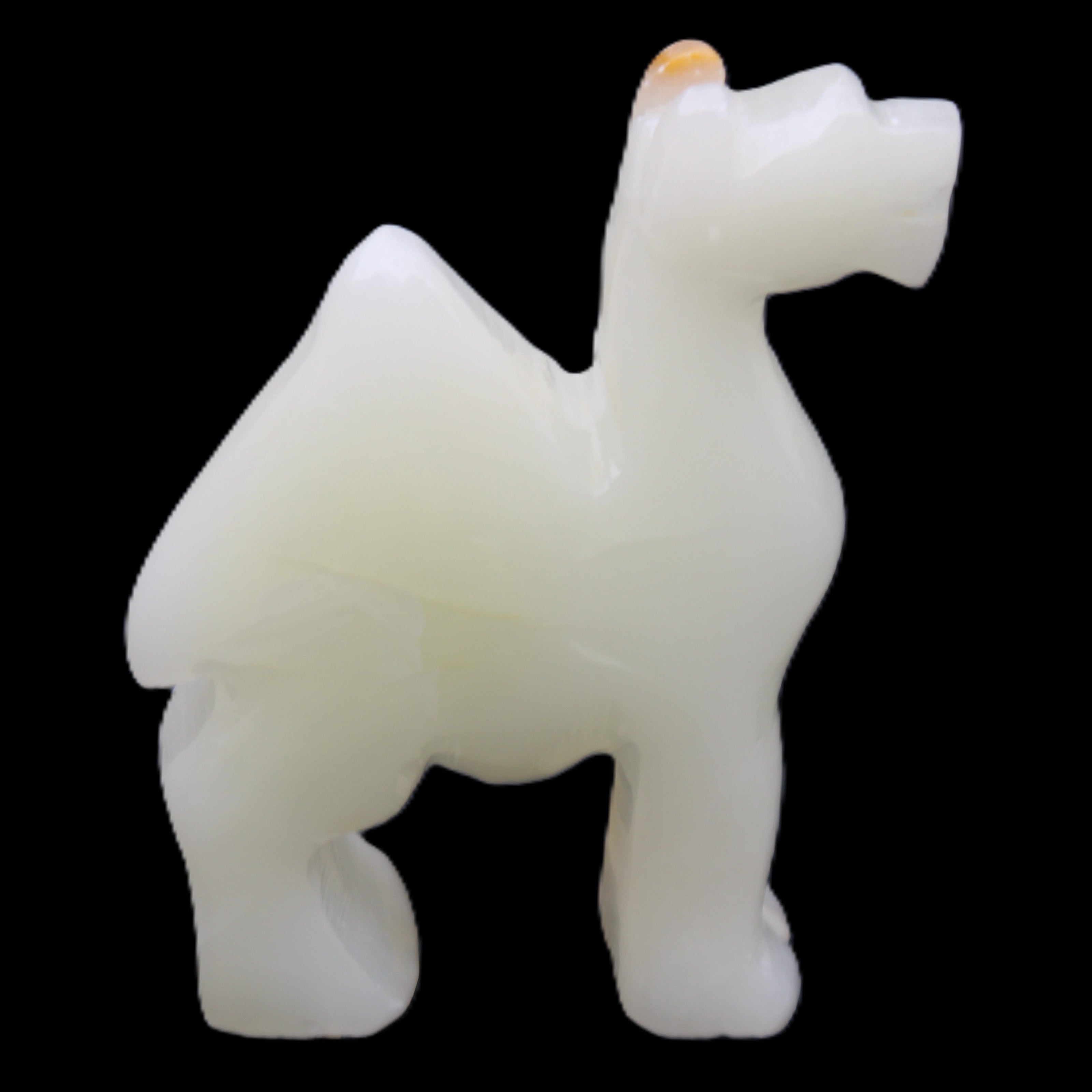 Afghan Jade hand-carved Camel 70*24*102mm 238g in sunlight - Rocks and Things Store