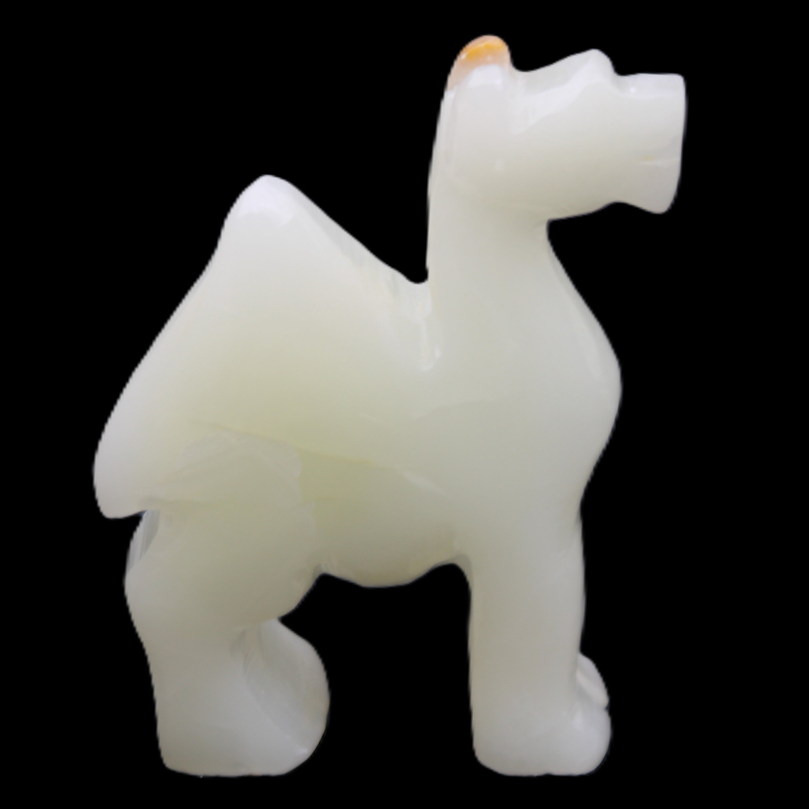 Afghan Jade hand-carved Camel 70*24*102mm 238g in sunlight - Rocks and Things Store