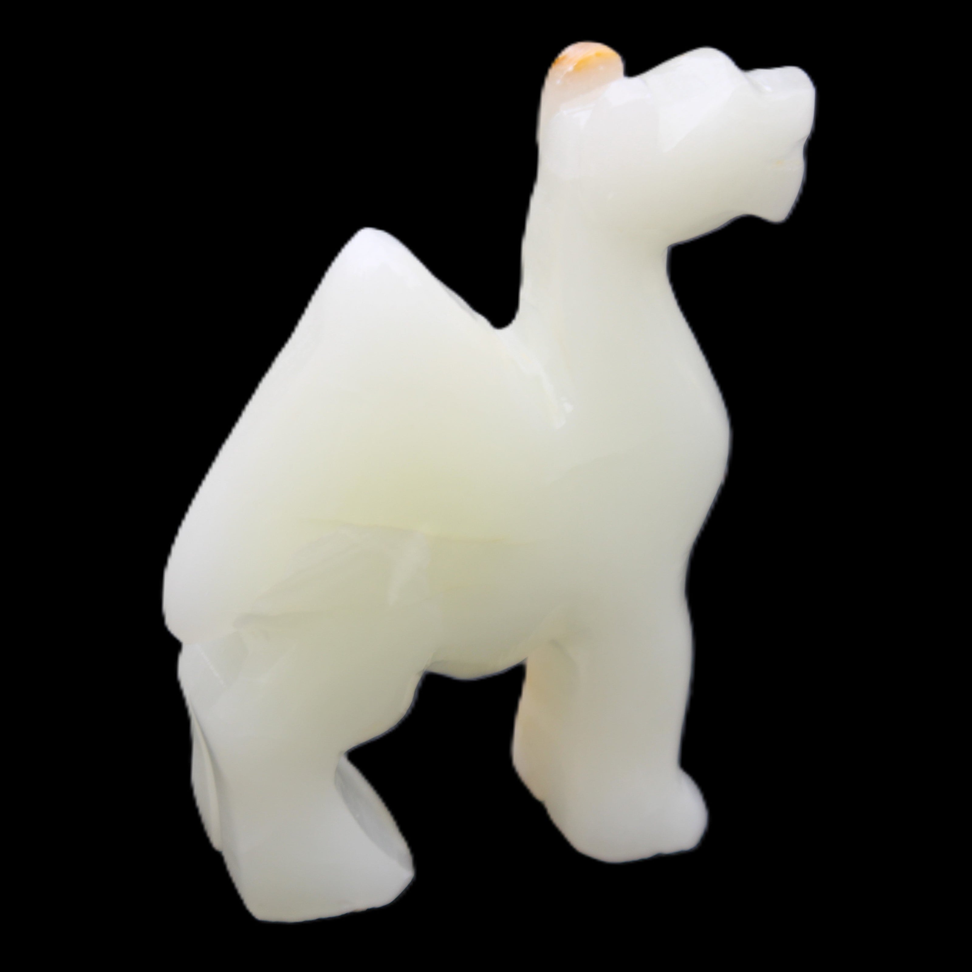 Afghan Jade hand-carved Camel 70*24*102mm 238g in sunlight - Rocks and Things Store