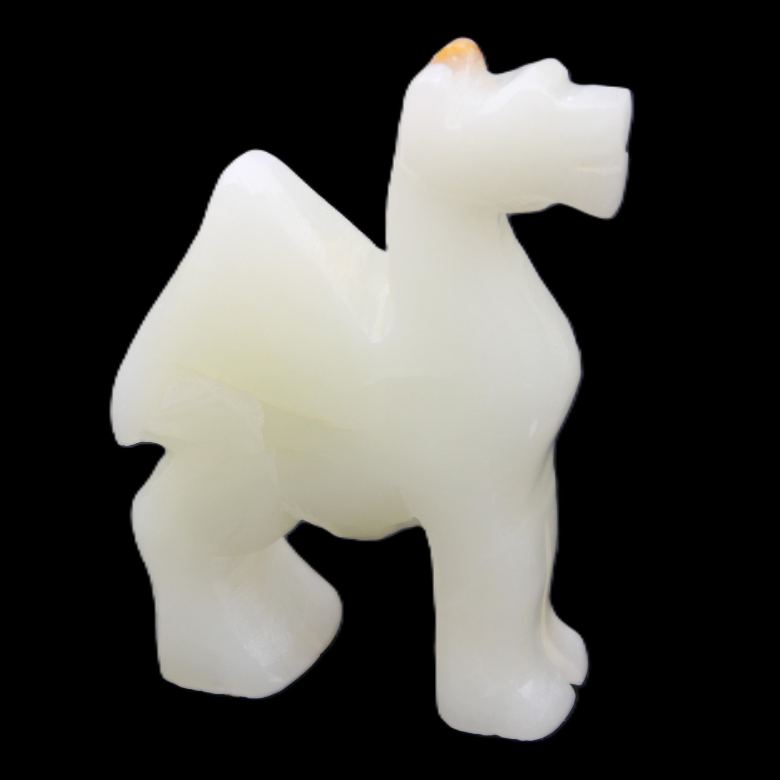 Afghan Jade hand-carved Camel 70*24*102mm 238g in sunlight - Rocks and Things Store