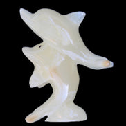 Afghan Jade hand-carved leaping Dolphin pair 82*42*107mm 296g in sunlight - Rocks and Things Store