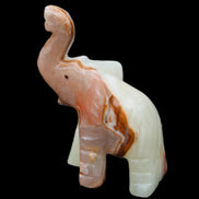 Afghan Jade hand-carved Elephant 67*30*113mm 252g in sunlight - Rocks and Things Store