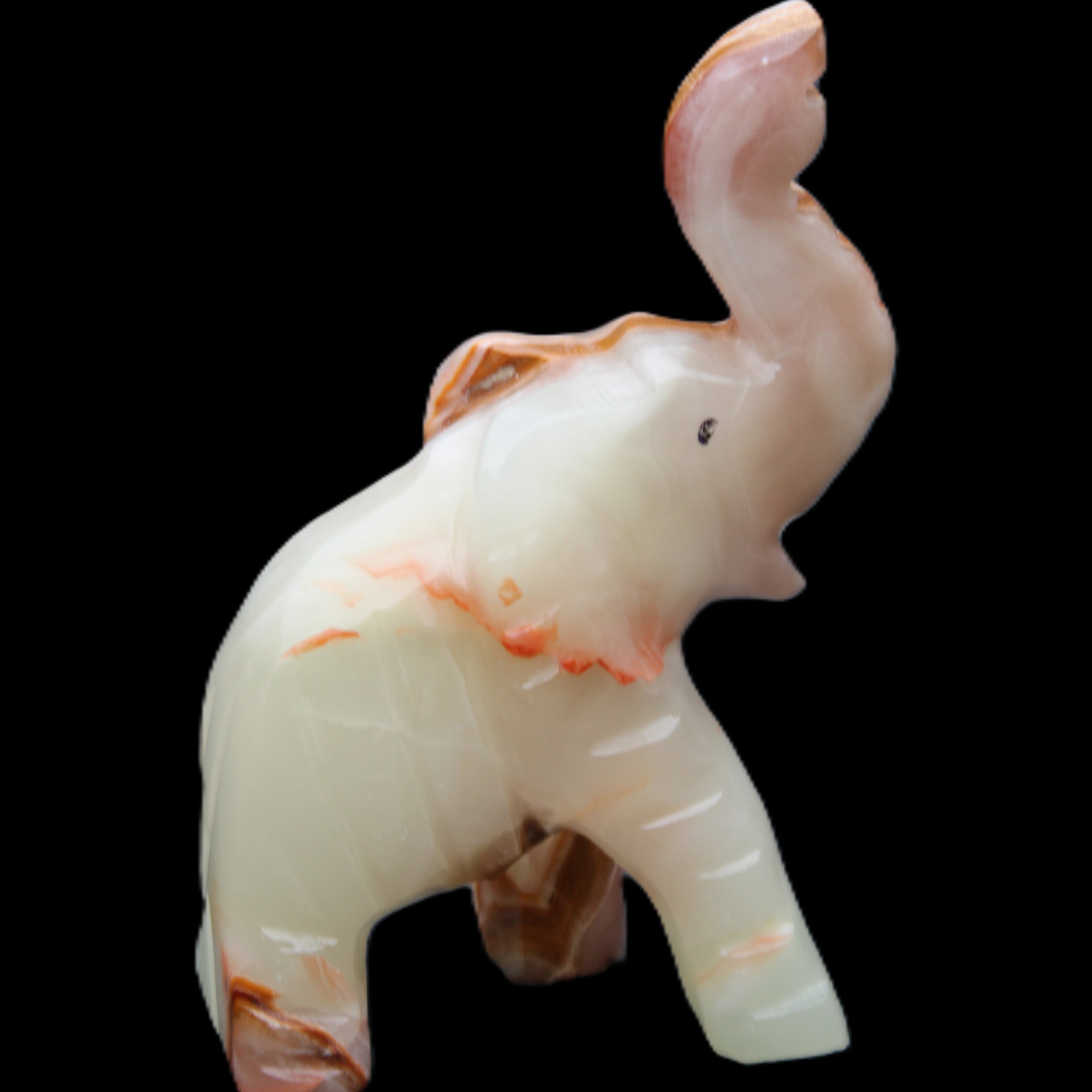 Afghan Jade hand-carved Elephant 67*30*113mm 252g in sunlight - Rocks and Things Store