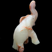 Afghan Jade hand-carved Elephant 67*30*113mm 252g in sunlight - Rocks and Things Store