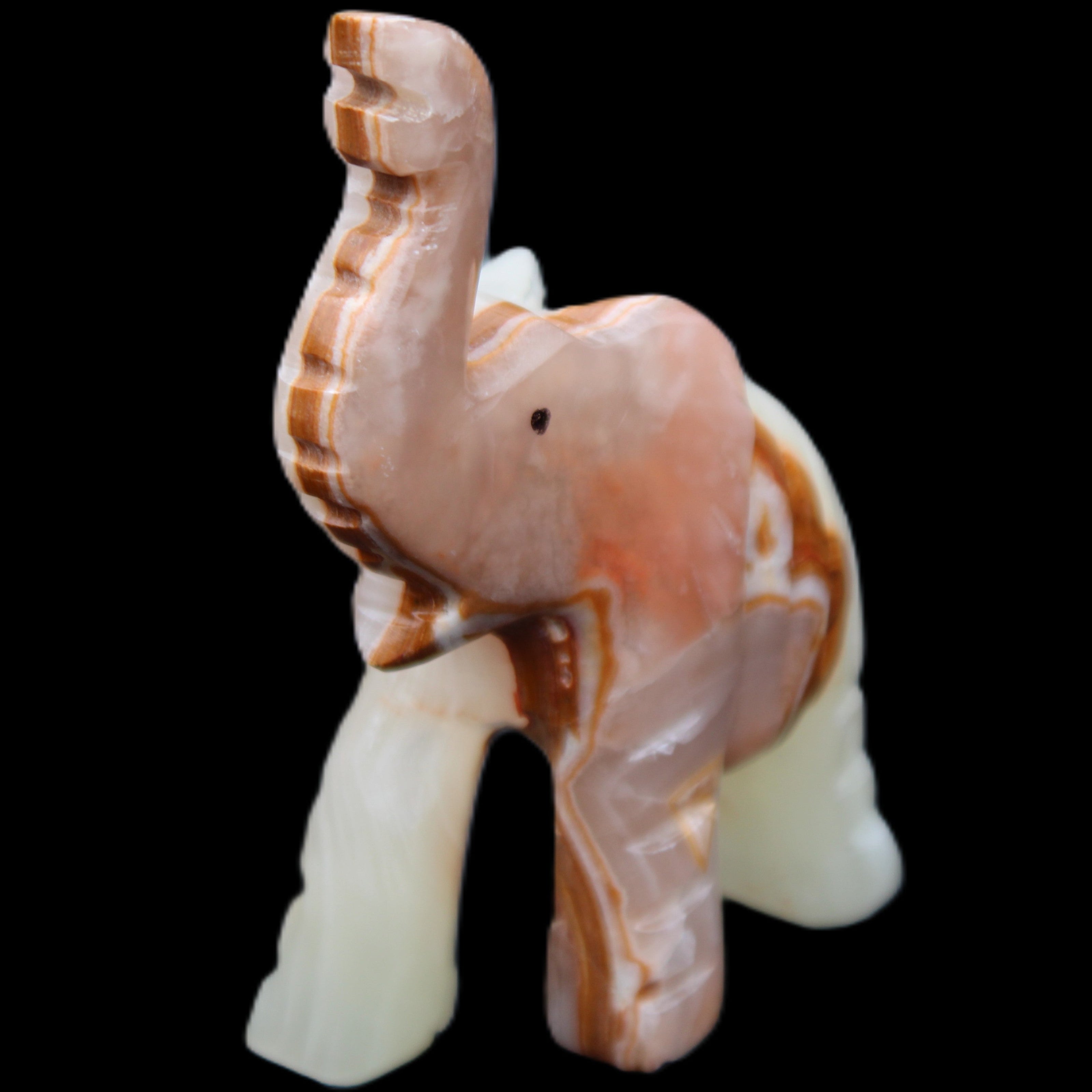 Afghan Jade hand-carved Elephant 67*30*113mm 252g in sunlight - Rocks and Things Store