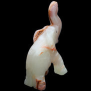 Afghan Jade hand-carved Elephant 67*30*113mm 252g in sunlight - Rocks and Things Store