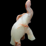 Afghan Jade hand-carved Elephant 67*30*113mm 252g in sunlight - Rocks and Things Store