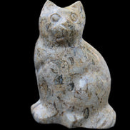 Fossil stone hand-carved Cat 81*45*115mm 534g in sunlight - Rocks and Things Store