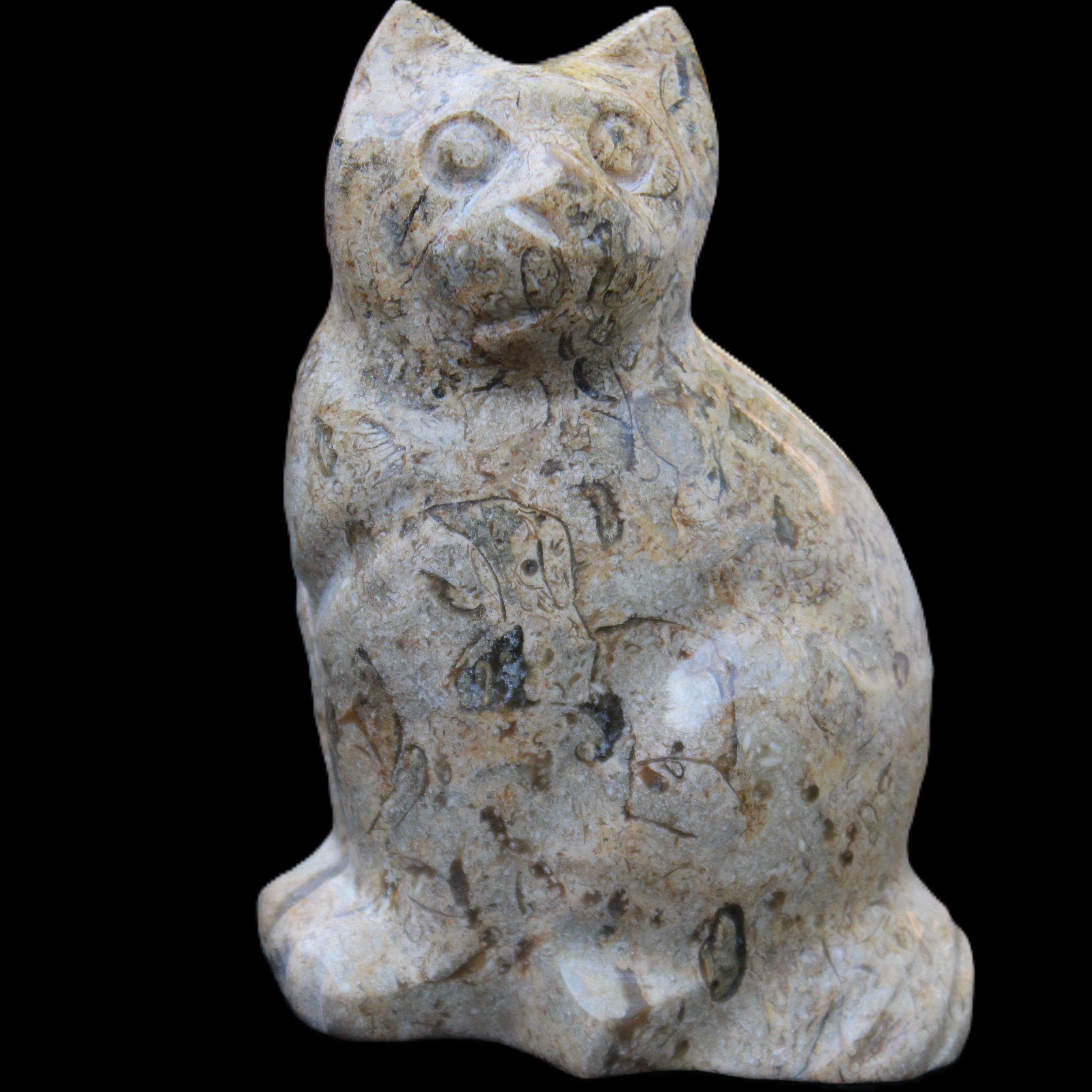Fossil stone hand-carved Cat 81*45*115mm 534g in sunlight - Rocks and Things Store