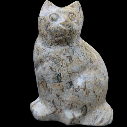 Fossil stone hand-carved Cat 81*45*115mm 534g in sunlight - Rocks and Things Store