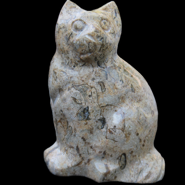 Fossil stone hand-carved Cat 81*45*115mm 534g in sunlight - Rocks and Things Store