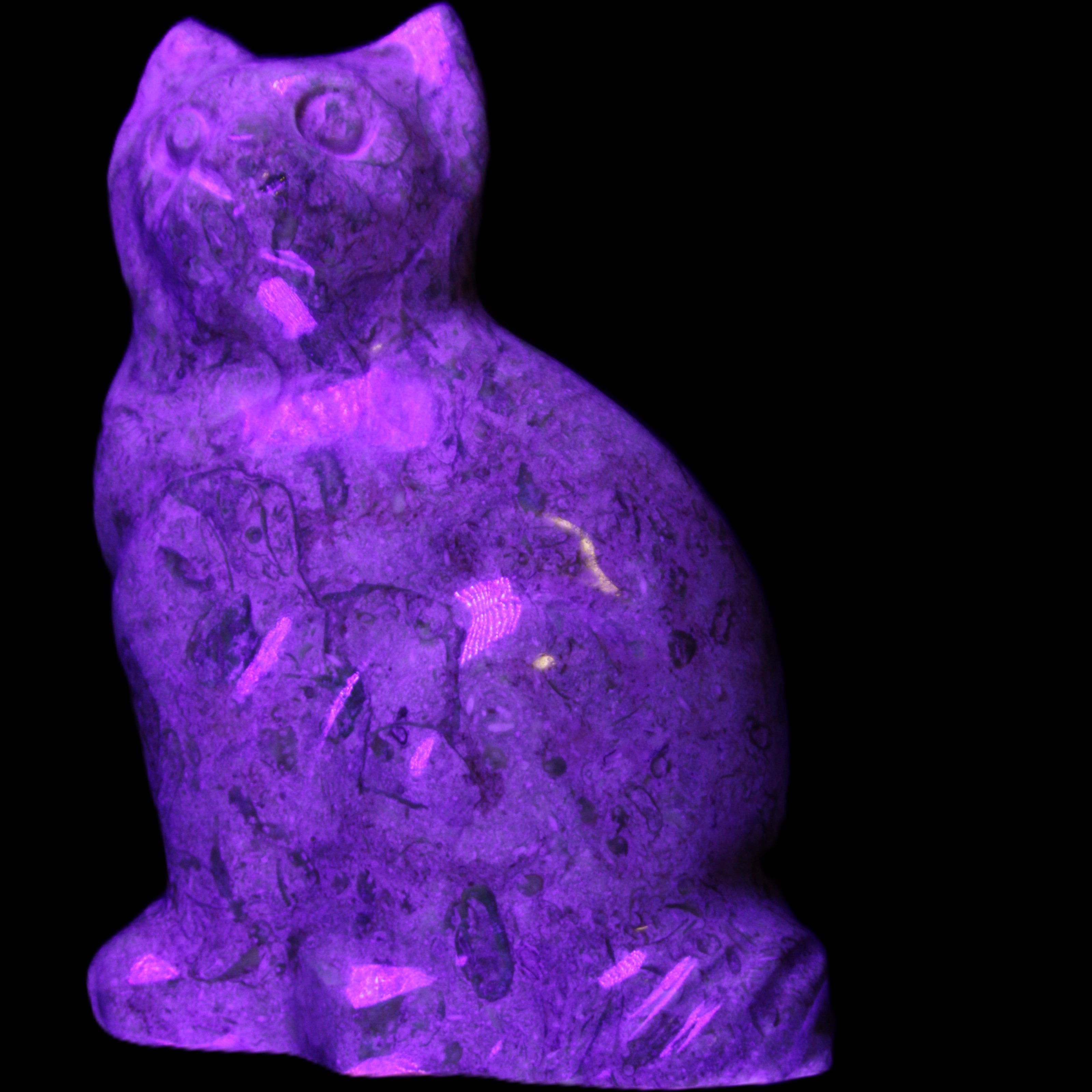 Fossil stone hand-carved Cat 81*45*115mm 534g in UV light - Rocks and Things Store