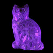 Fossil stone hand-carved Cat 81*45*115mm 534g in UV light - Rocks and Things Store