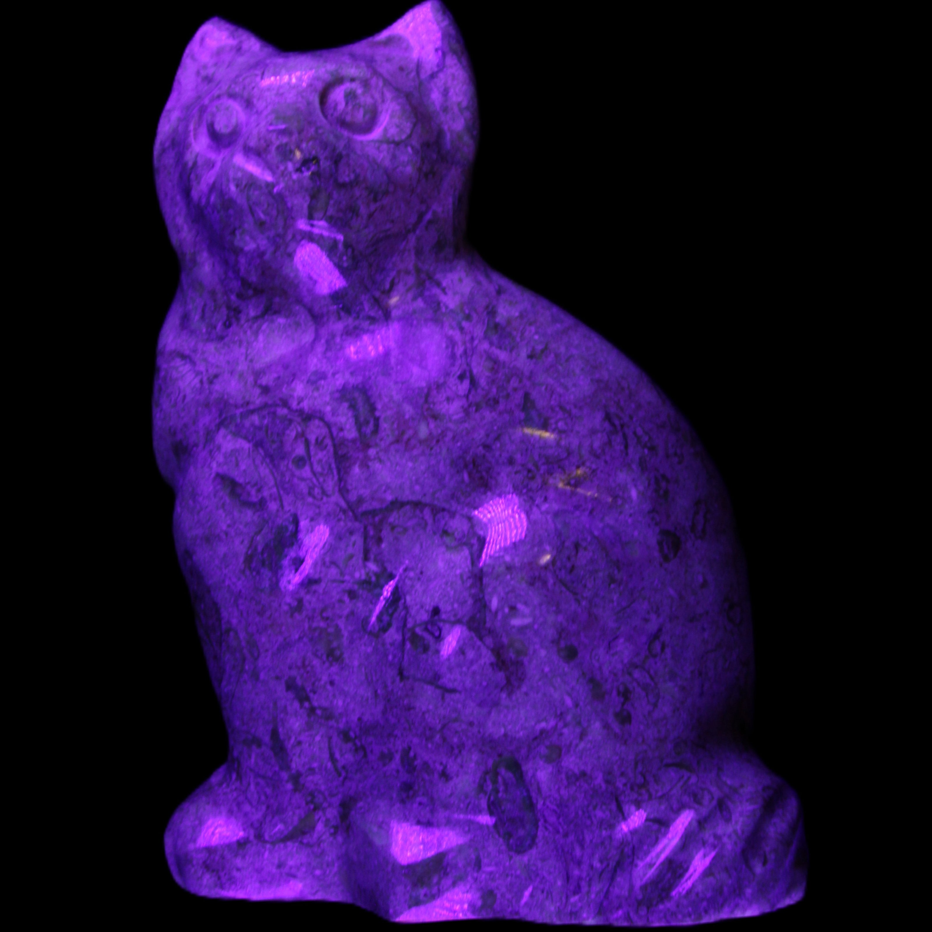 Fossil stone hand-carved Cat 81*45*115mm 534g in UV light - Rocks and Things Store