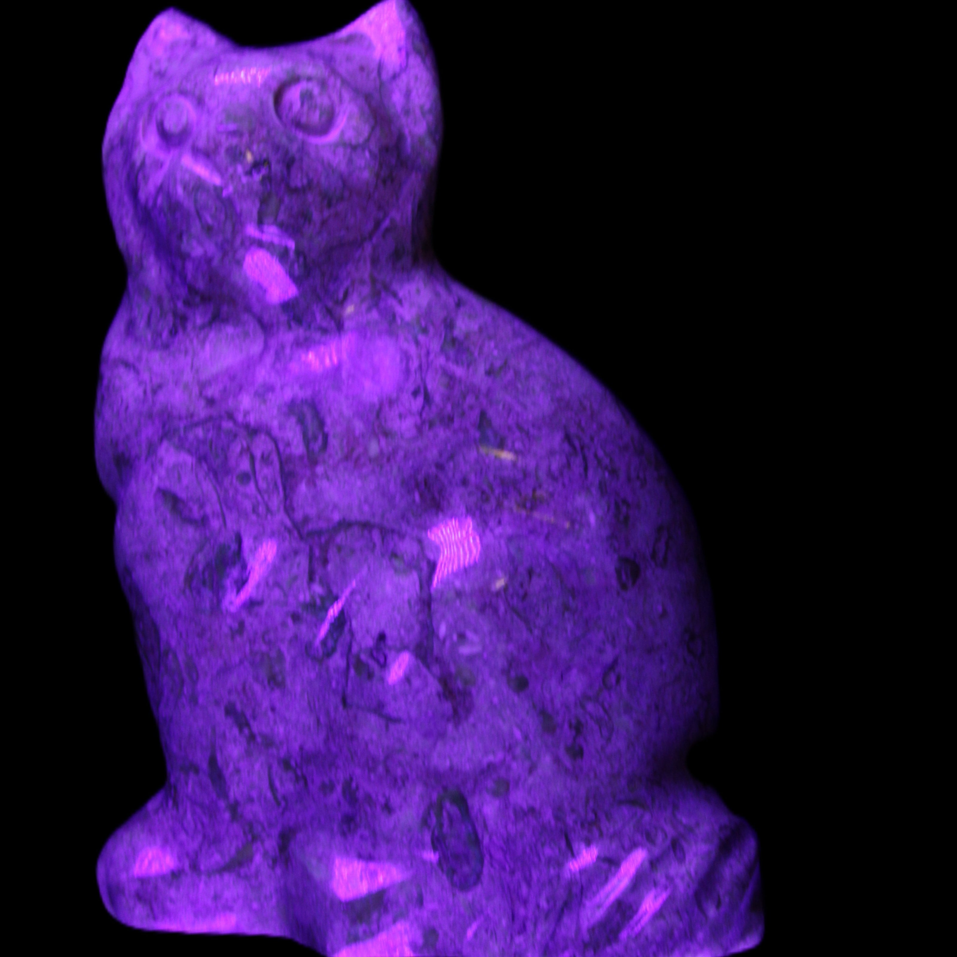 Fossil stone hand-carved Cat 81*45*115mm 534g in UV light - Rocks and Things Store