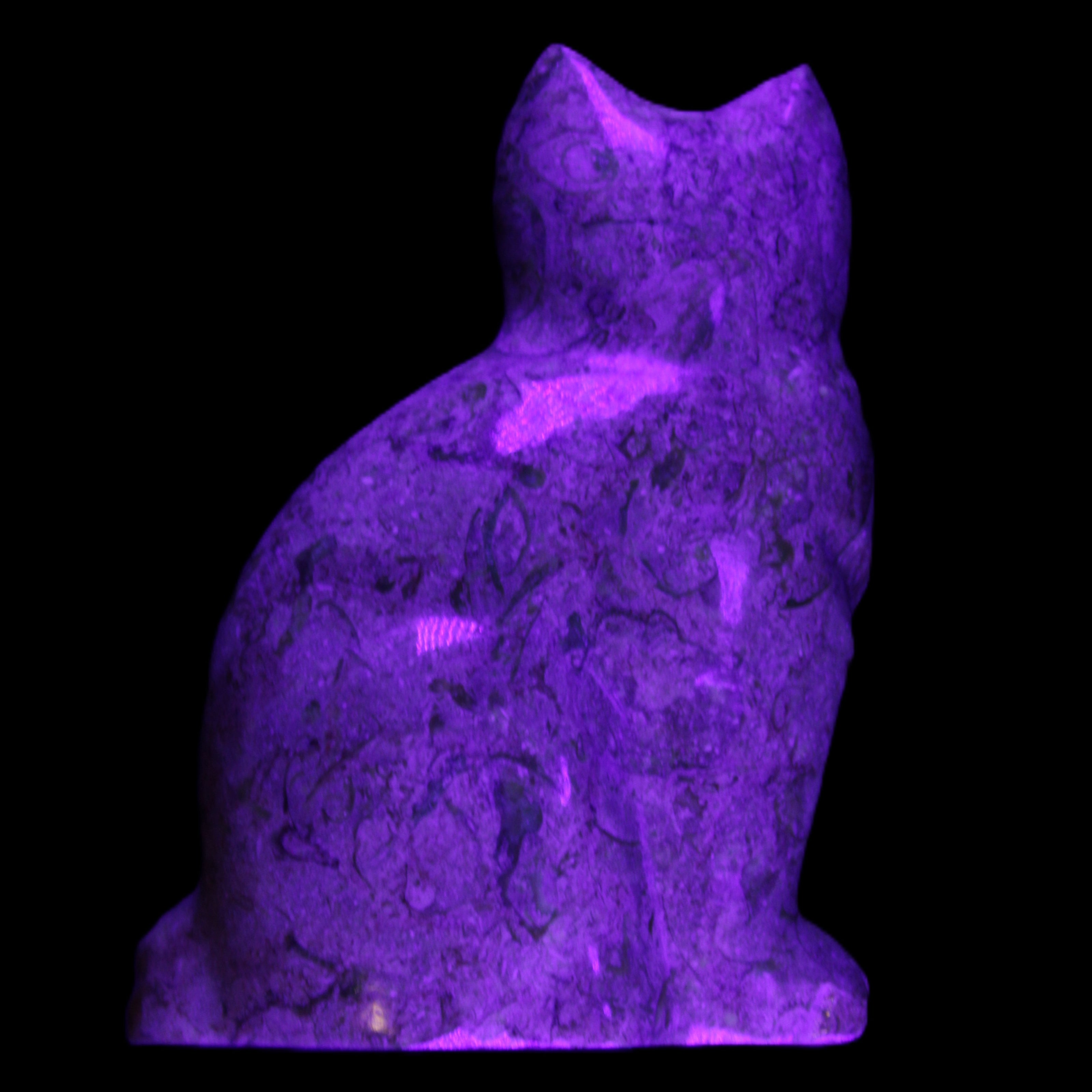 Fossil stone hand-carved Cat 81*45*115mm 534g in UV light - Rocks and Things Store