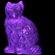 Fossil stone hand-carved Cat 81*45*115mm 534g in UV light - Rocks and Things Store