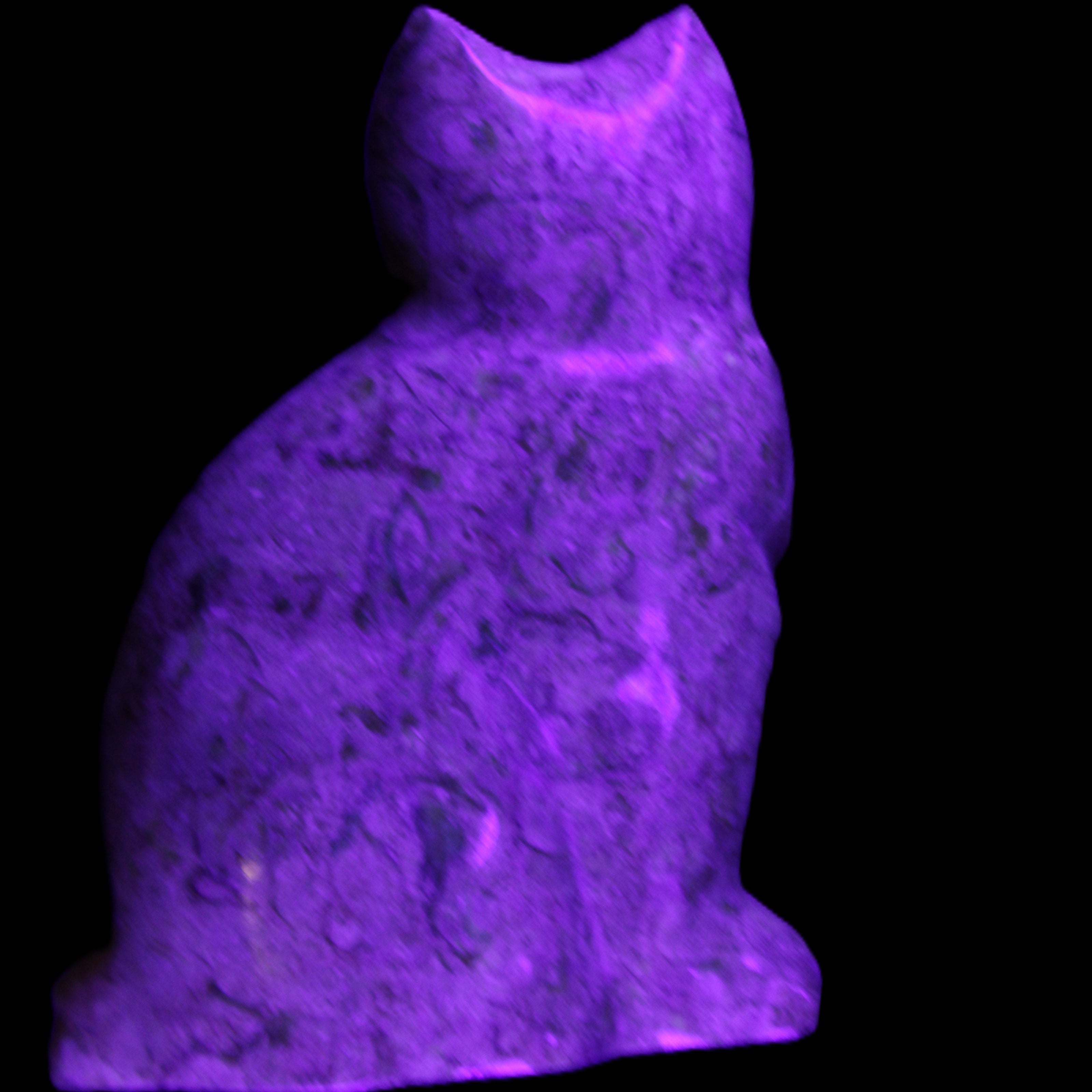 Fossil stone hand-carved Cat 81*45*115mm 534g in UV light - Rocks and Things Store