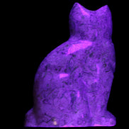 Fossil stone hand-carved Cat 81*45*115mm 534g in UV light - Rocks and Things Store