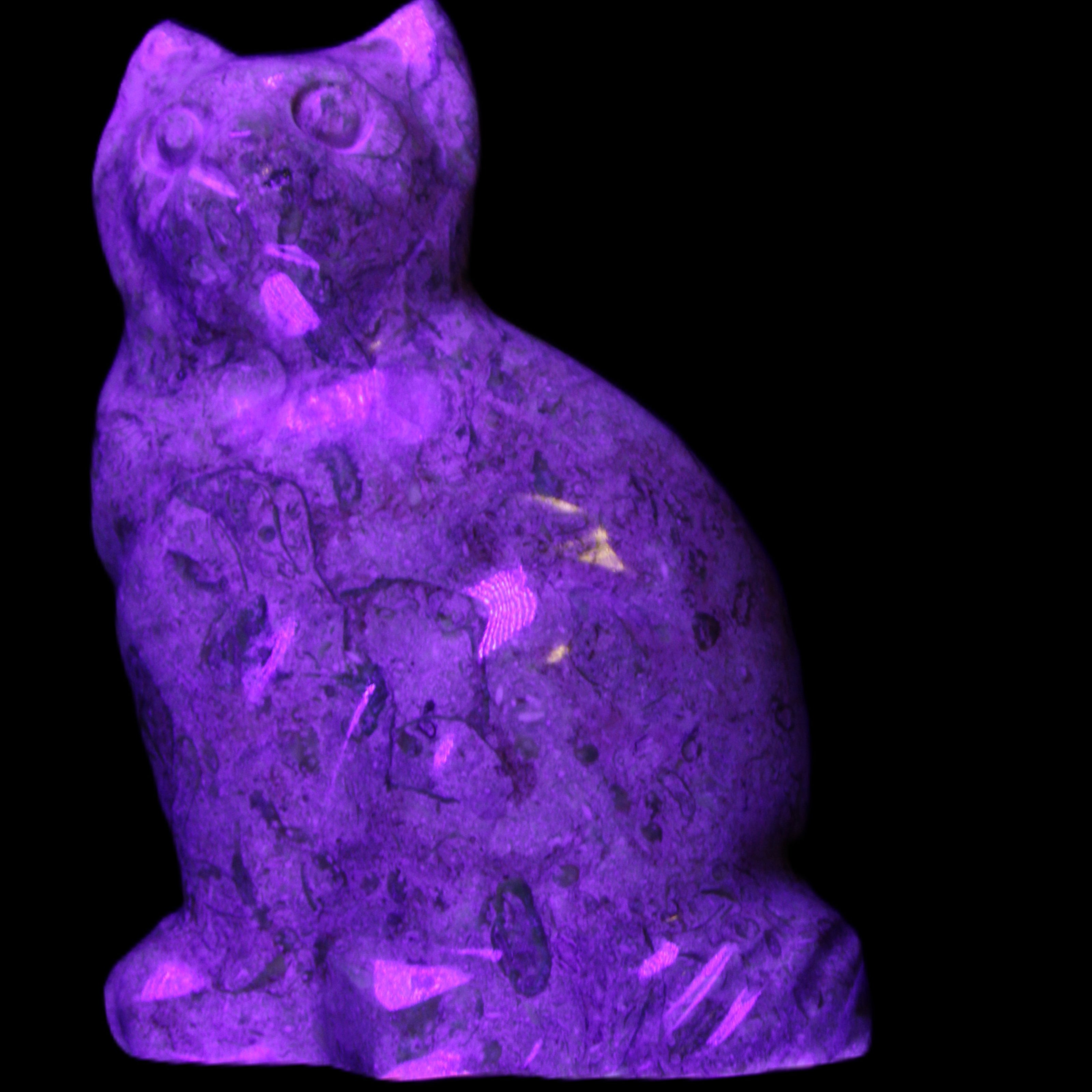 Fossil stone hand-carved Cat 81*45*115mm 534g in UV light - Rocks and Things Store