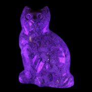Fossil stone hand-carved Cat 81*45*115mm 534g in UV light - Rocks and Things Store