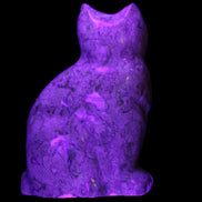 Fossil stone hand-carved Cat 81*45*115mm 534g in UV light - Rocks and Things Store