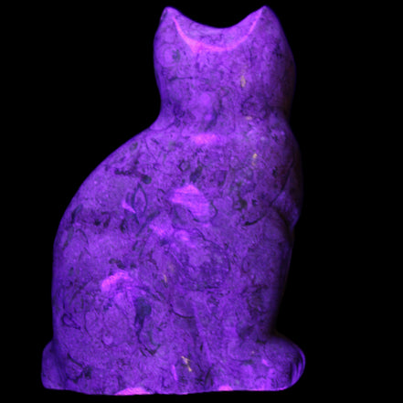 Fossil stone hand-carved Cat 81*45*115mm 534g in UV light - Rocks and Things Store